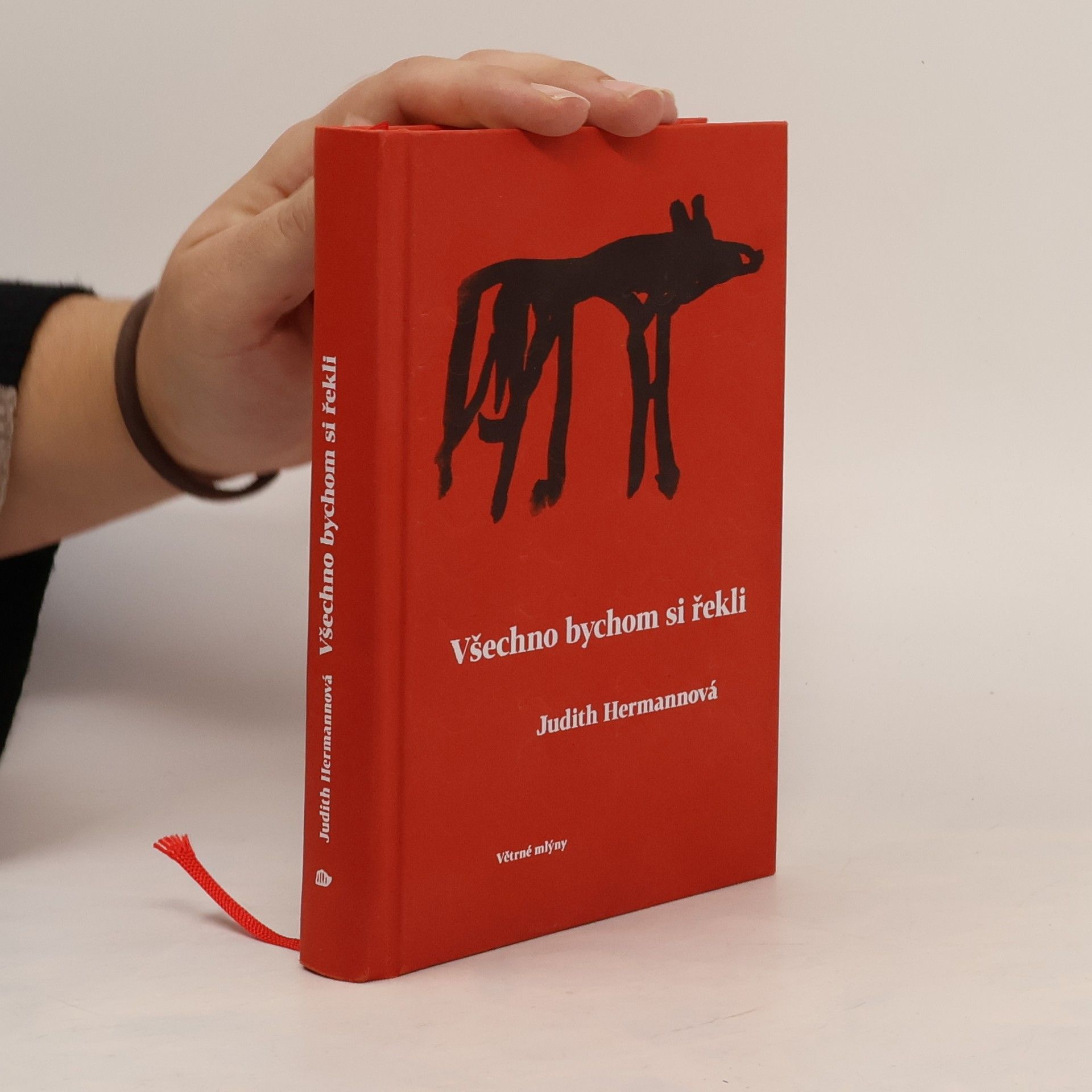 Judith Hermann Všechno bychom si řekli