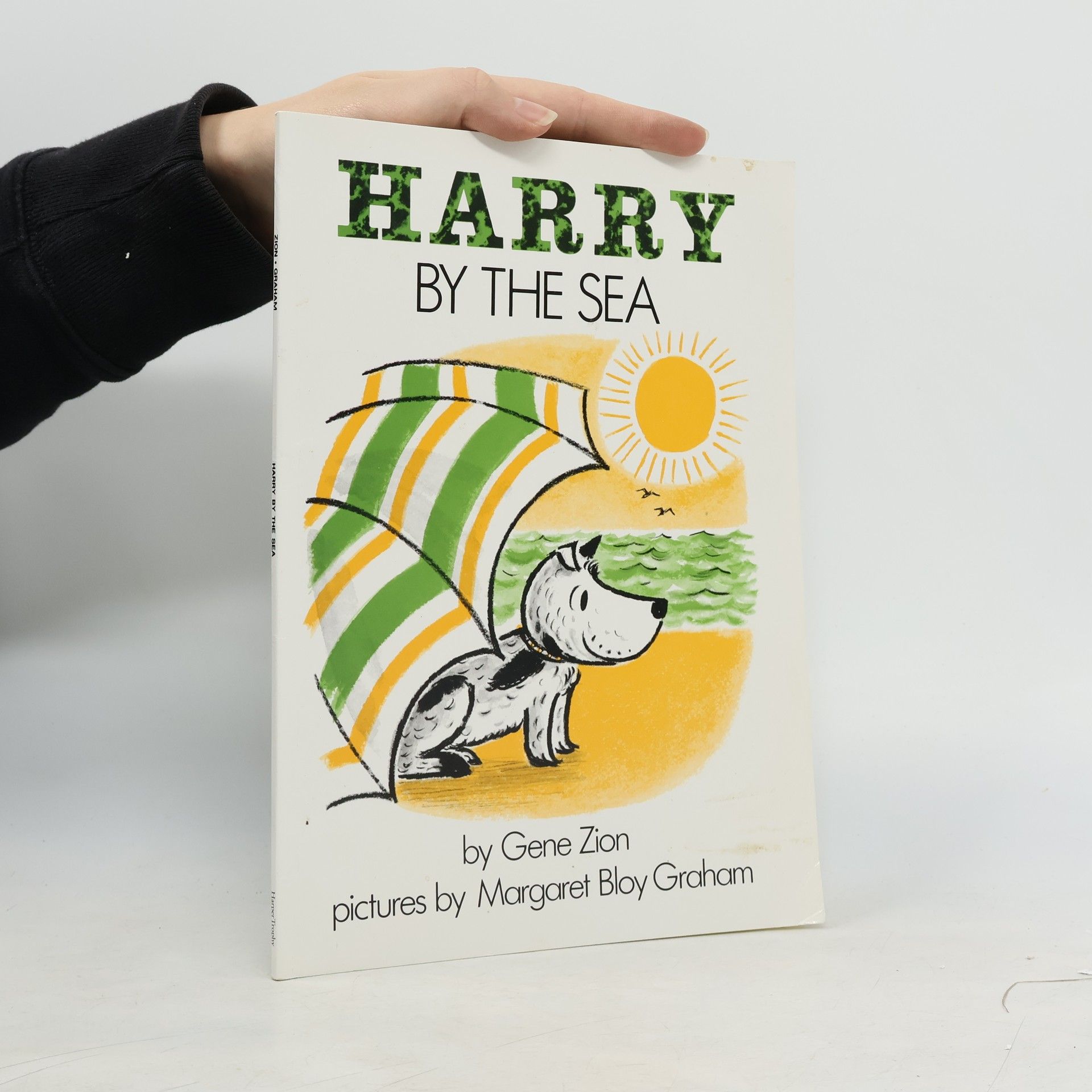 Gene Zion Harry by the Sea