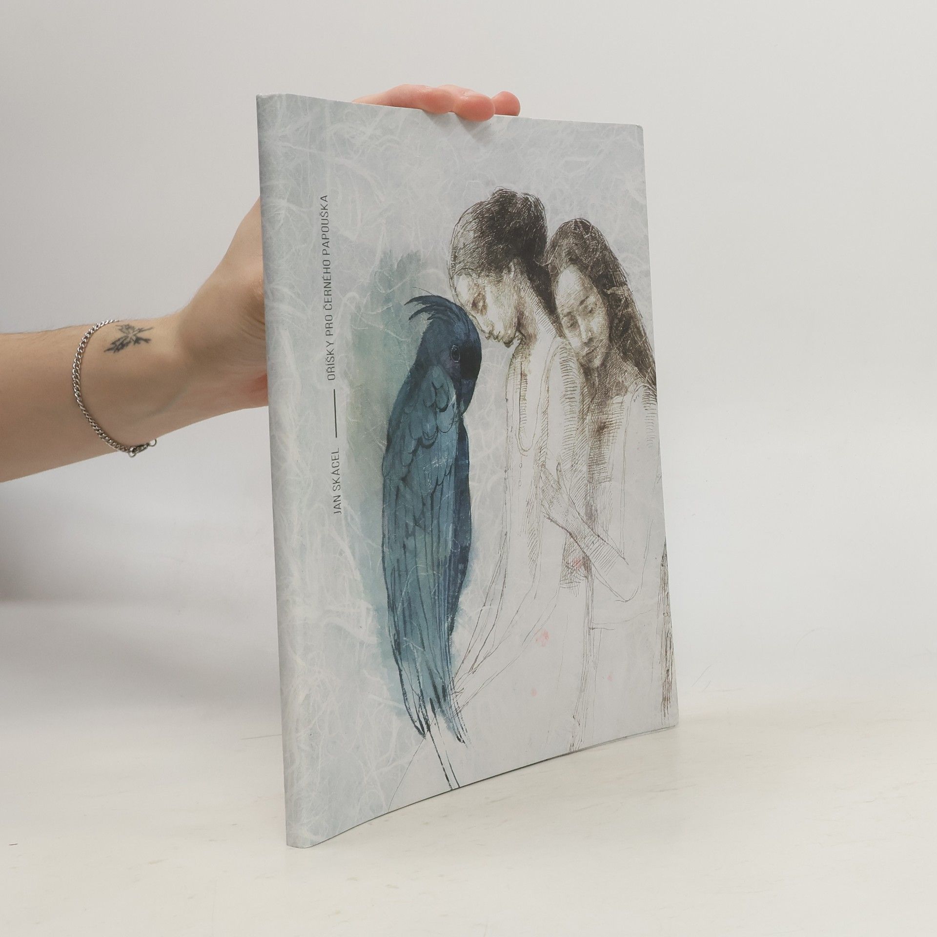 Jan Skácel Oříšky pro černého papouška