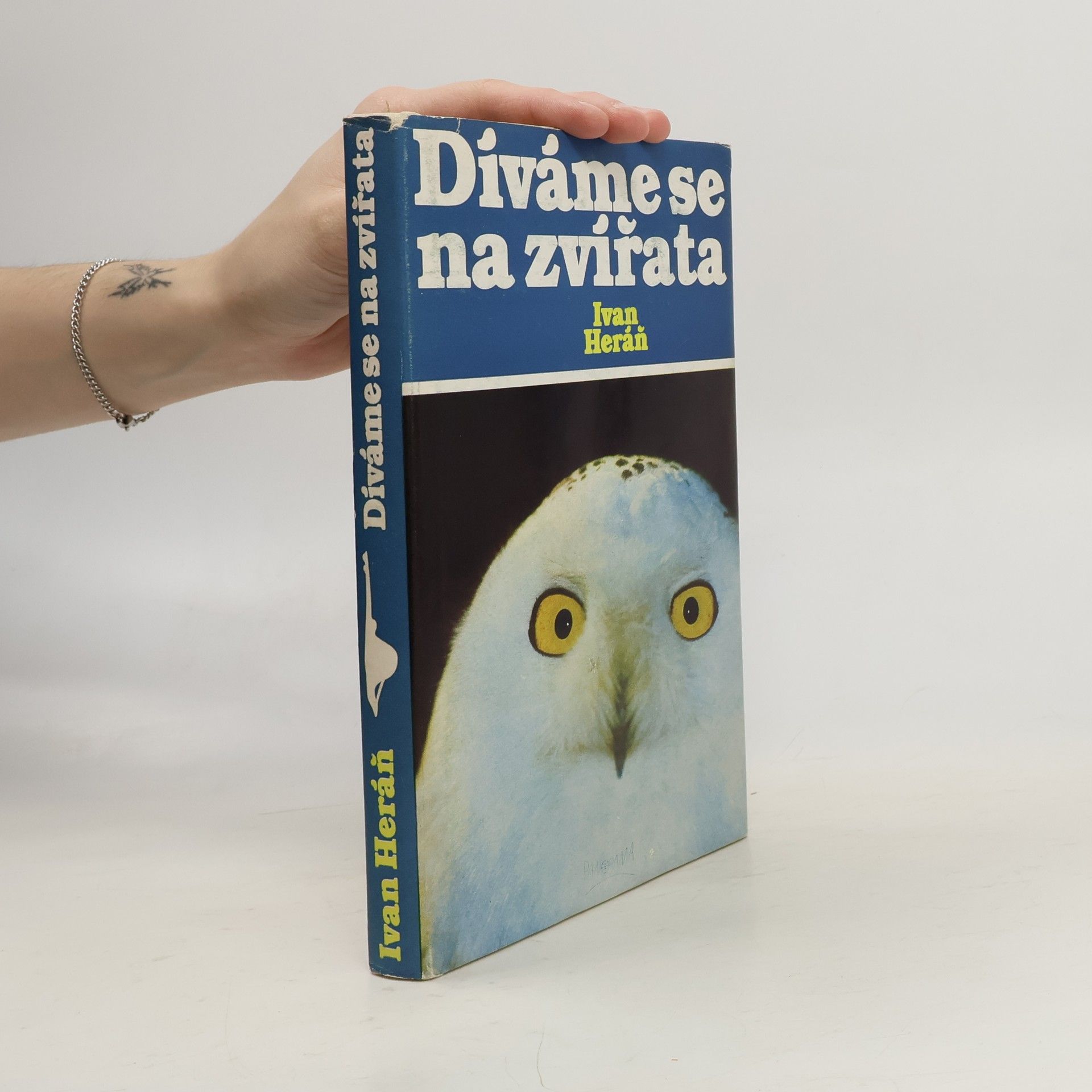 Díváme se na zvířata