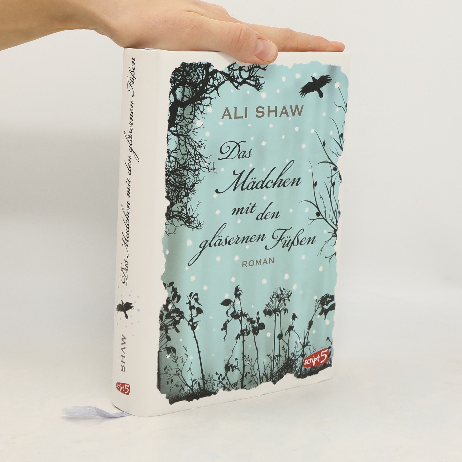 Ali Shaw Das Mädchen mit den gläsernen Füßen