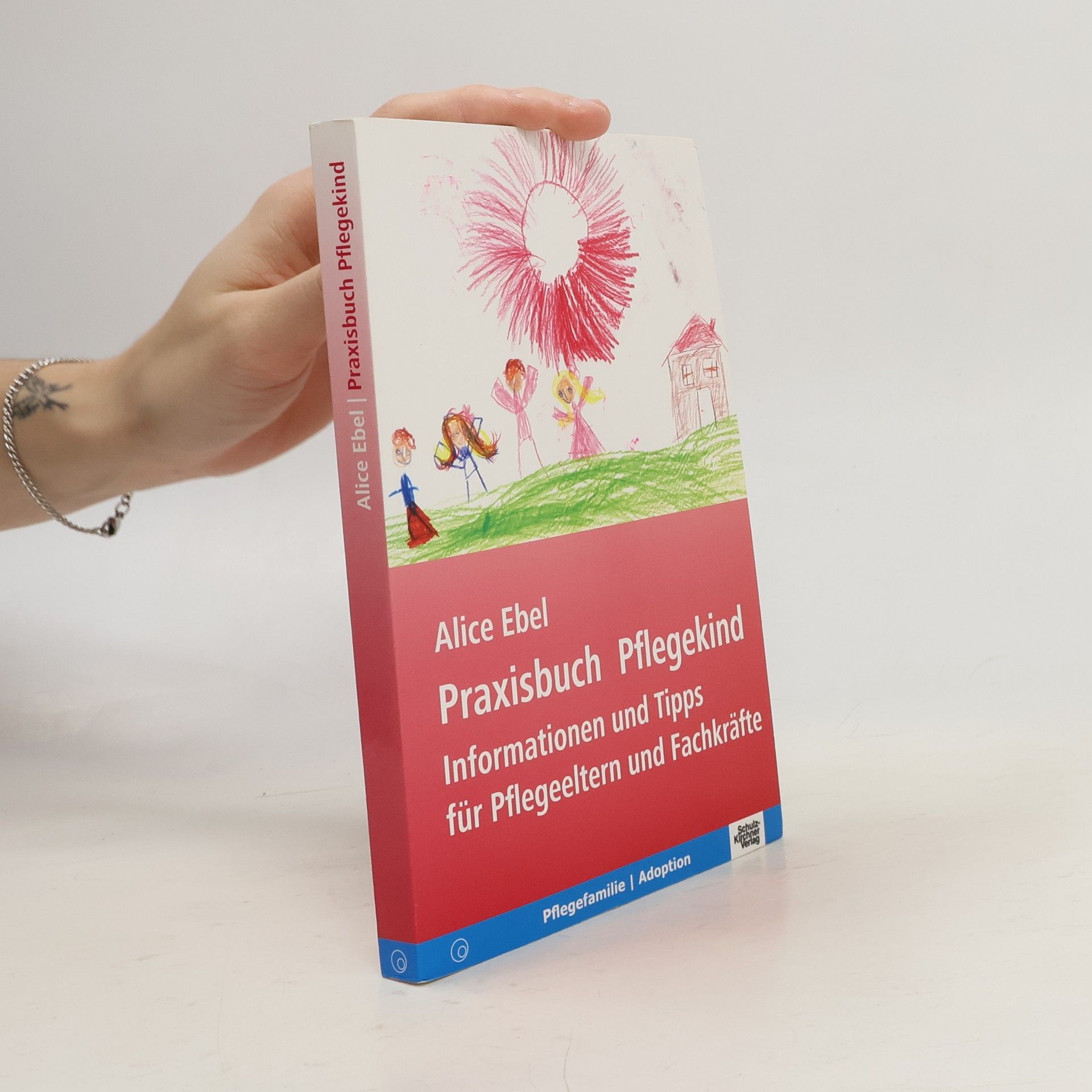 Praxisbuch Pflegekind