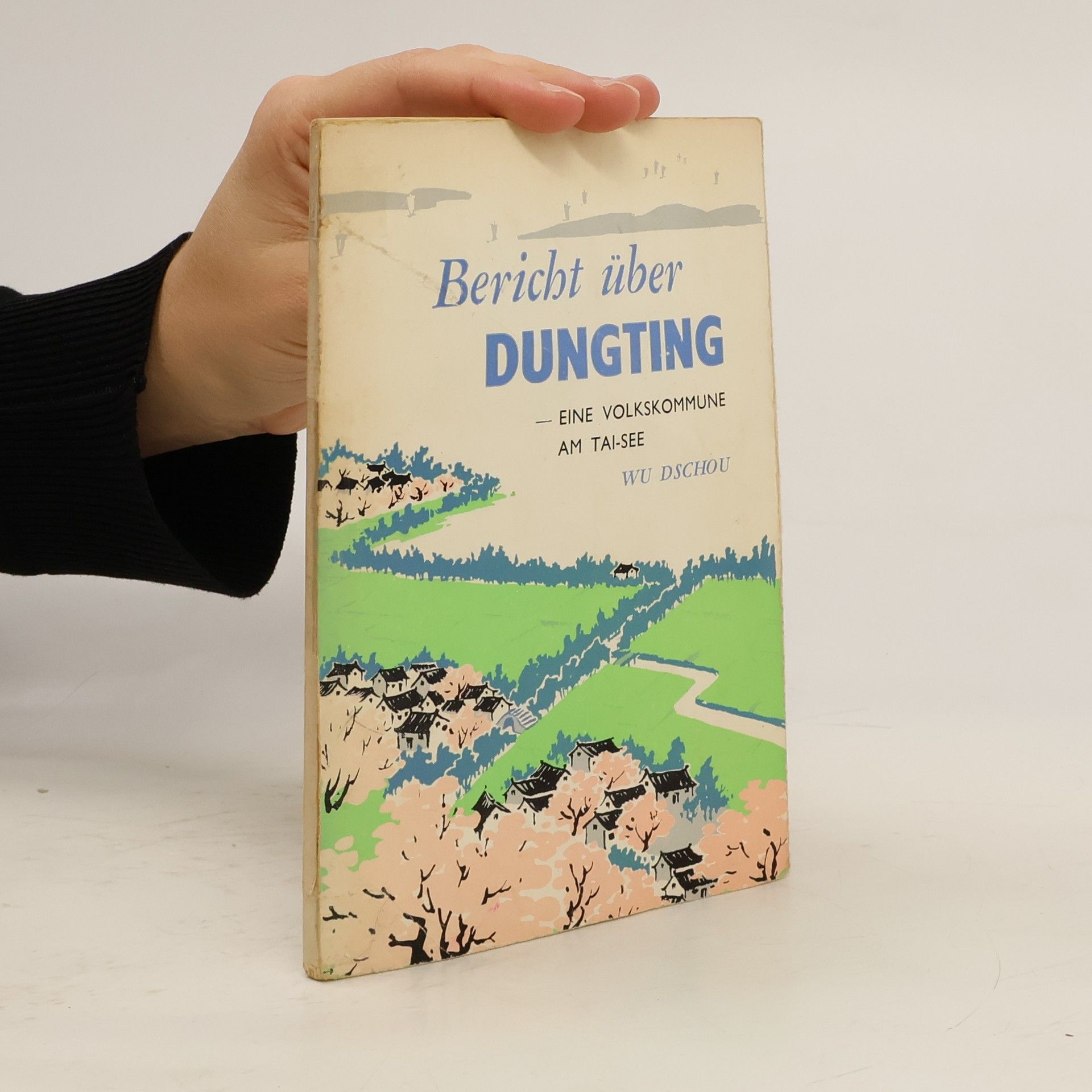 Wu Dschou Bericht über Dungting