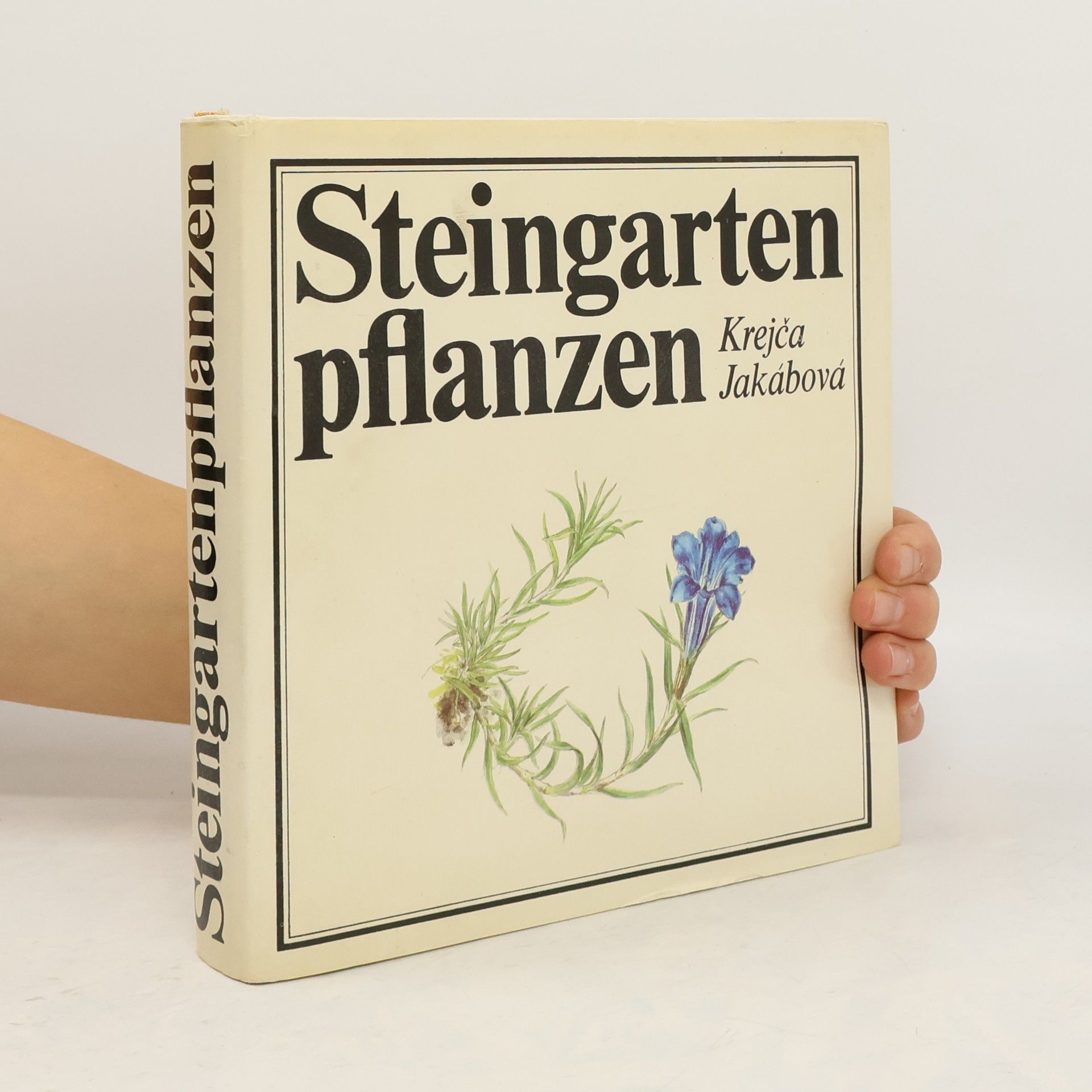 Krejča Jakábová Steingarten pflanzen