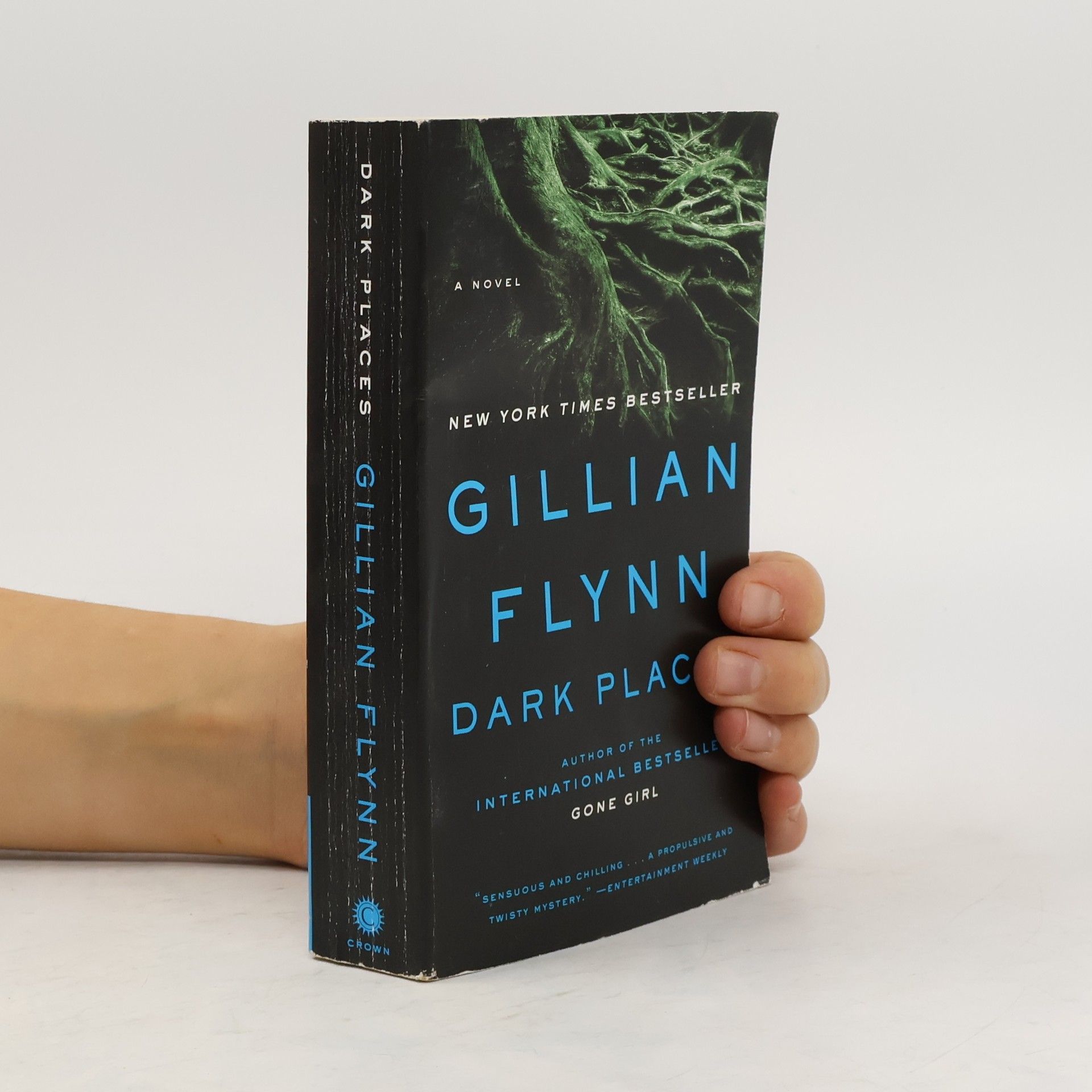 Gillian Flynn Dark Places