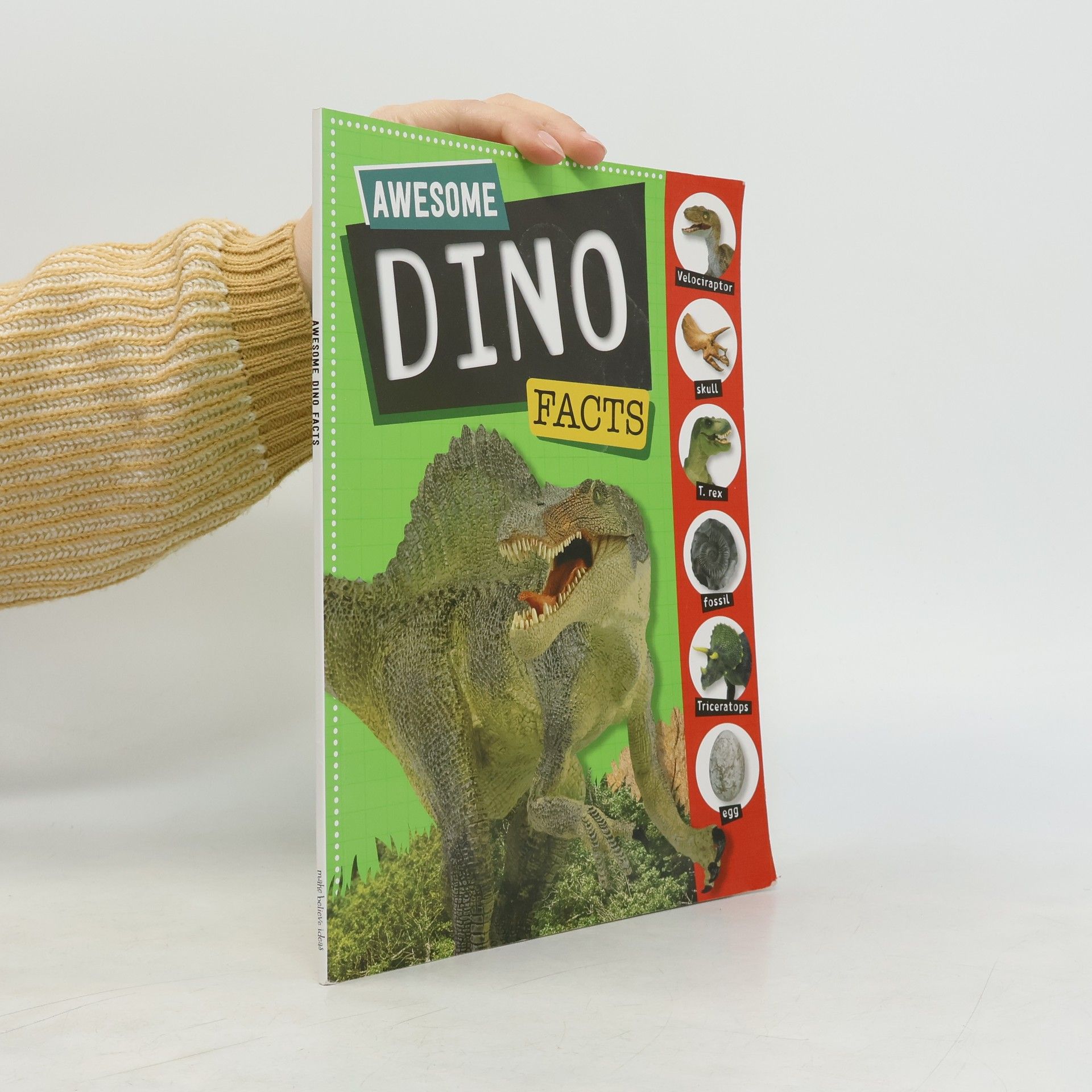 AA.VV. Awesome Dino Facts