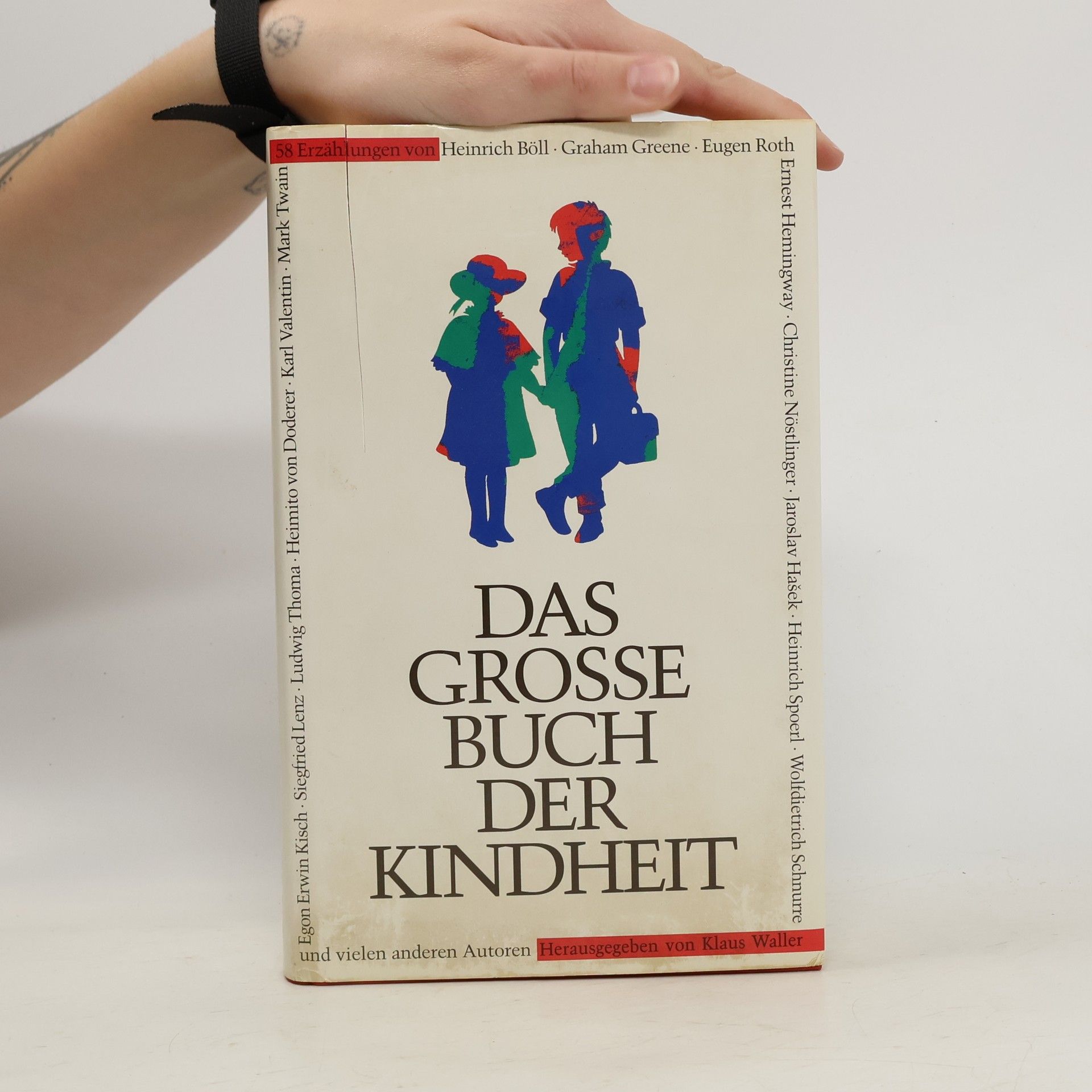 Autorenkollektiv Das grosse Buch der Kindheit