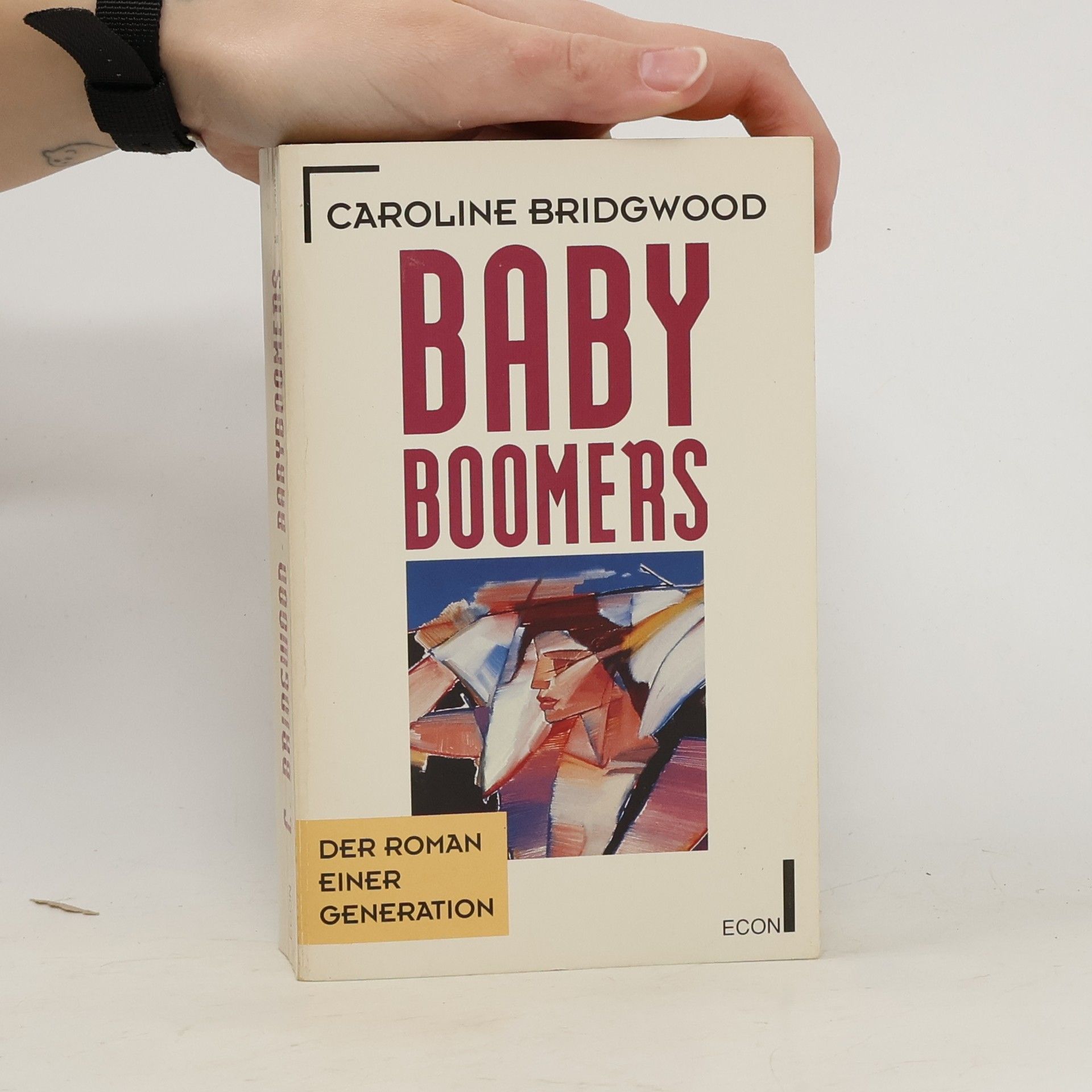 Babyboomers. Der Roman einer Generation