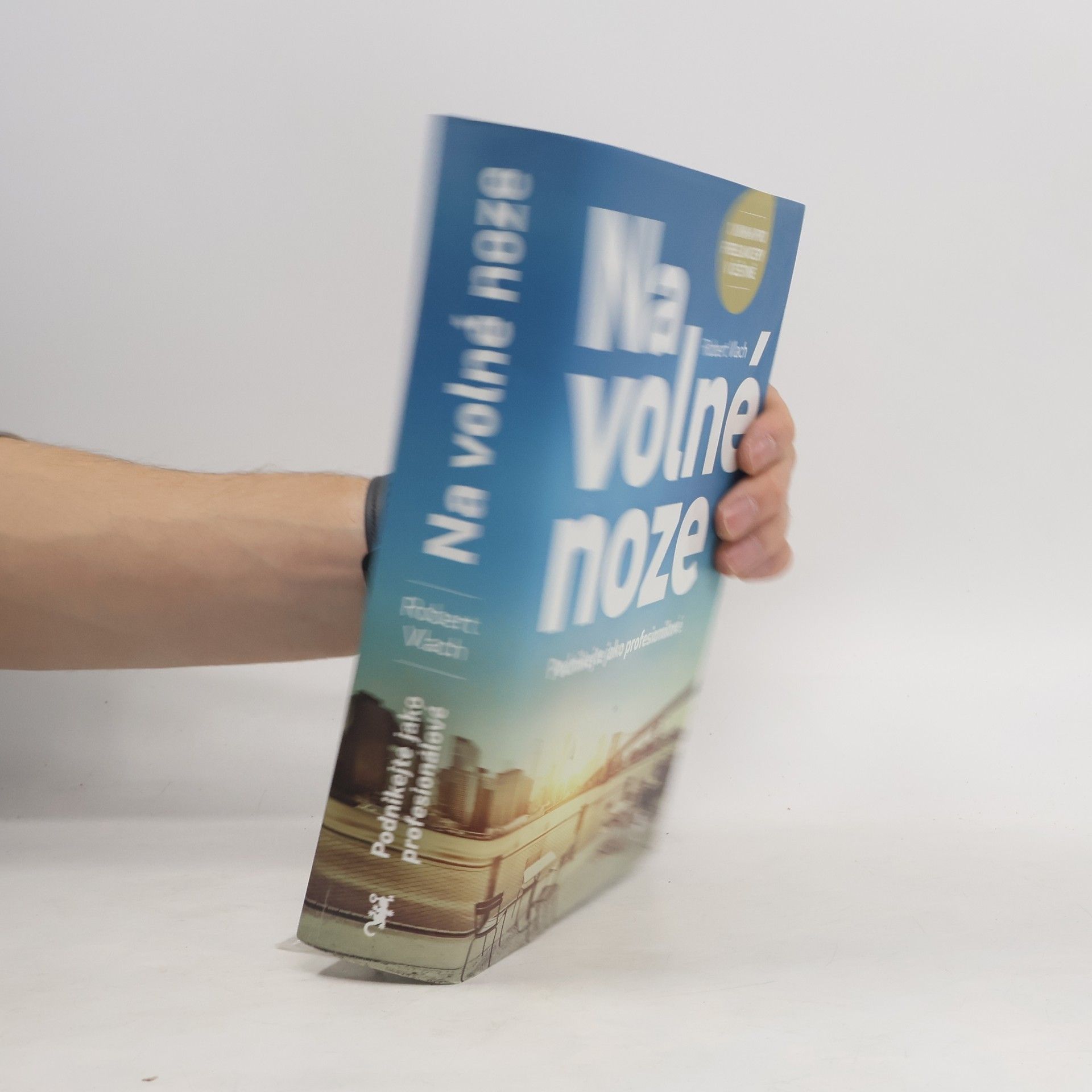 Robert Vlach Na volné noze