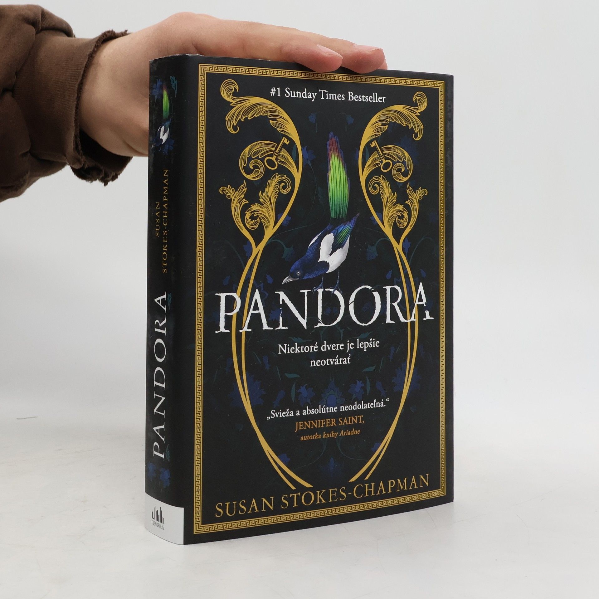 Susan Stokes Chapman Pandora : Niektoré dvere je lepšie neotvárať