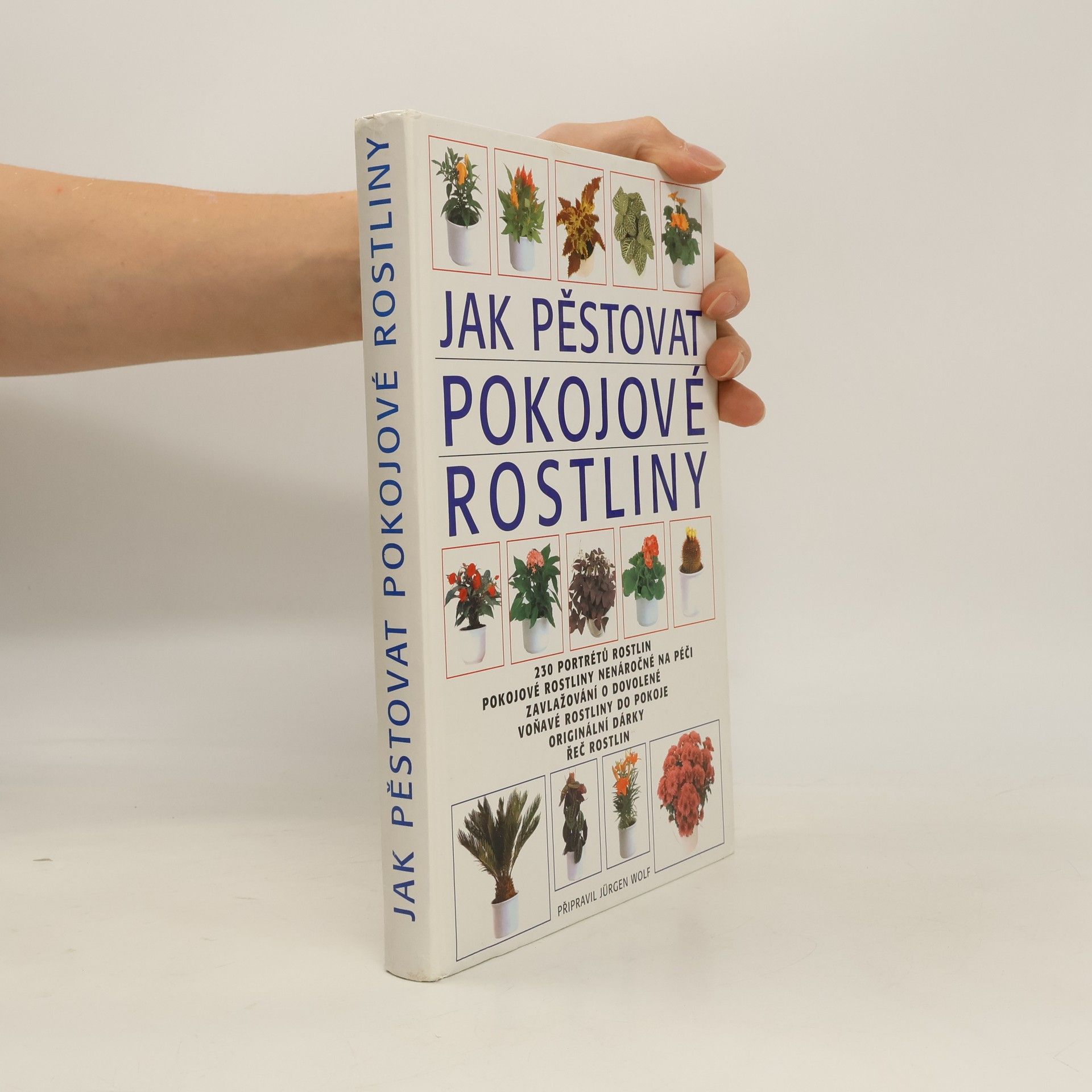 Jak pěstovat pokojové rostliny