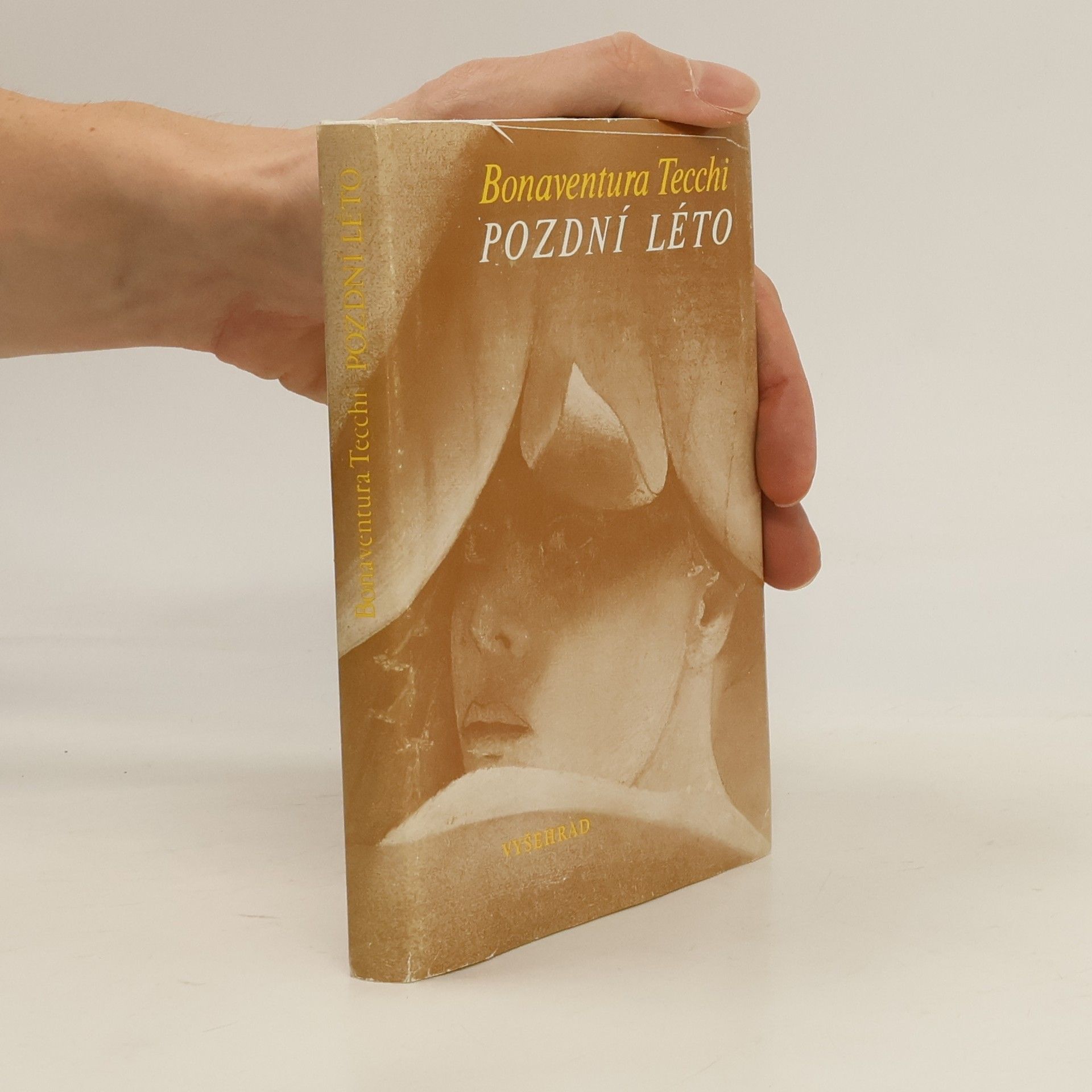 Bonaventura Tecchi Pozdní léto