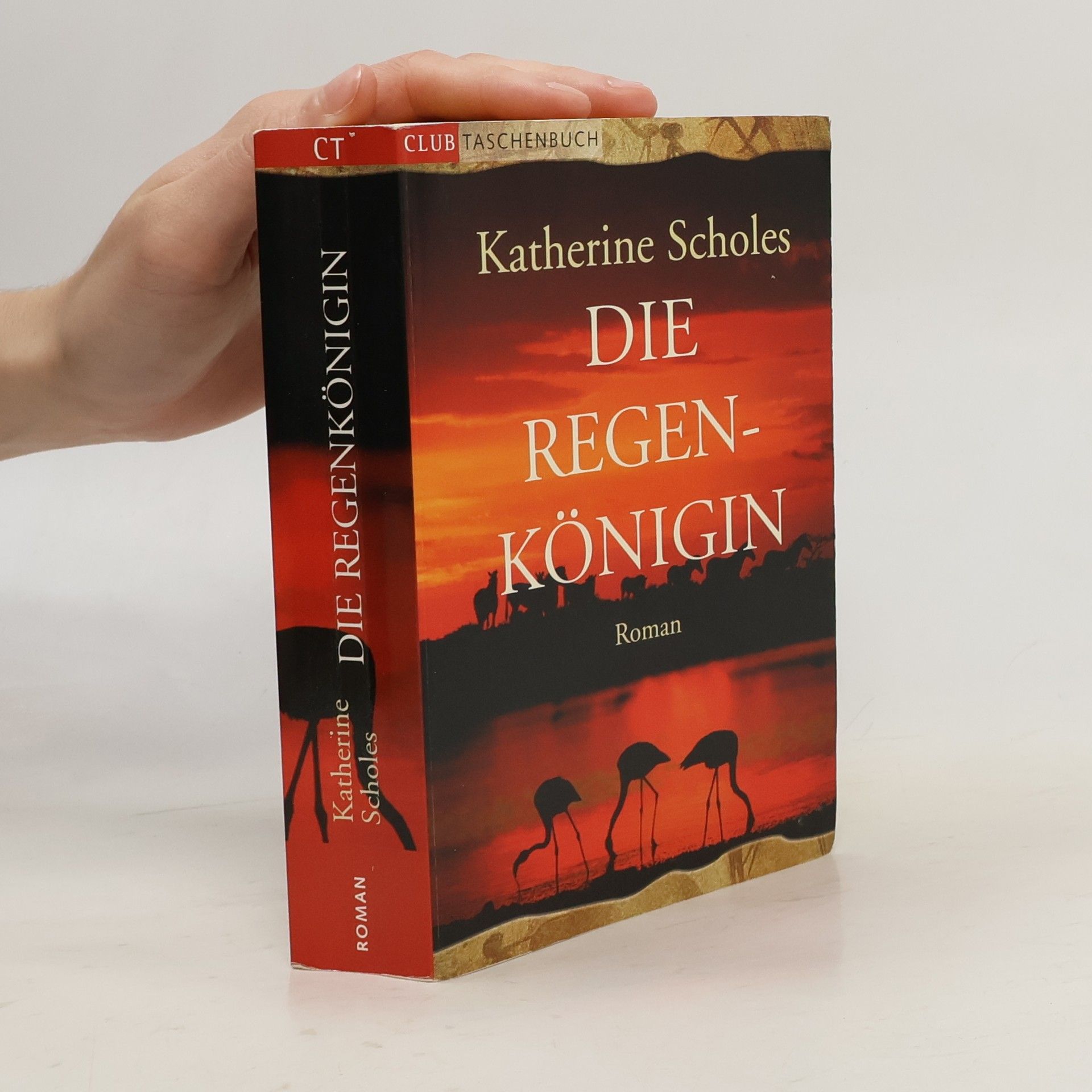 Katherine Scholes Die Regenkönigin