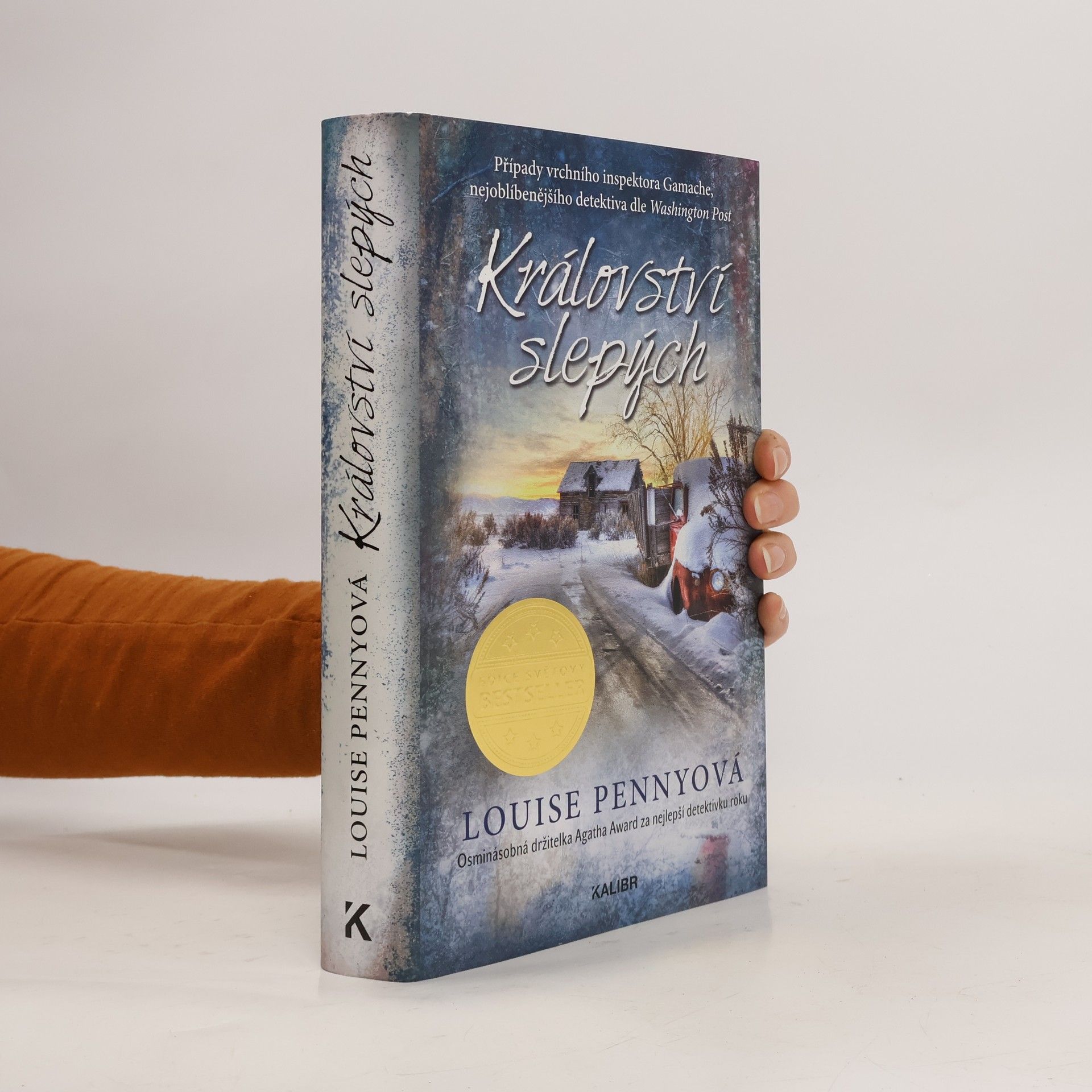 Louise Penny Království slepých