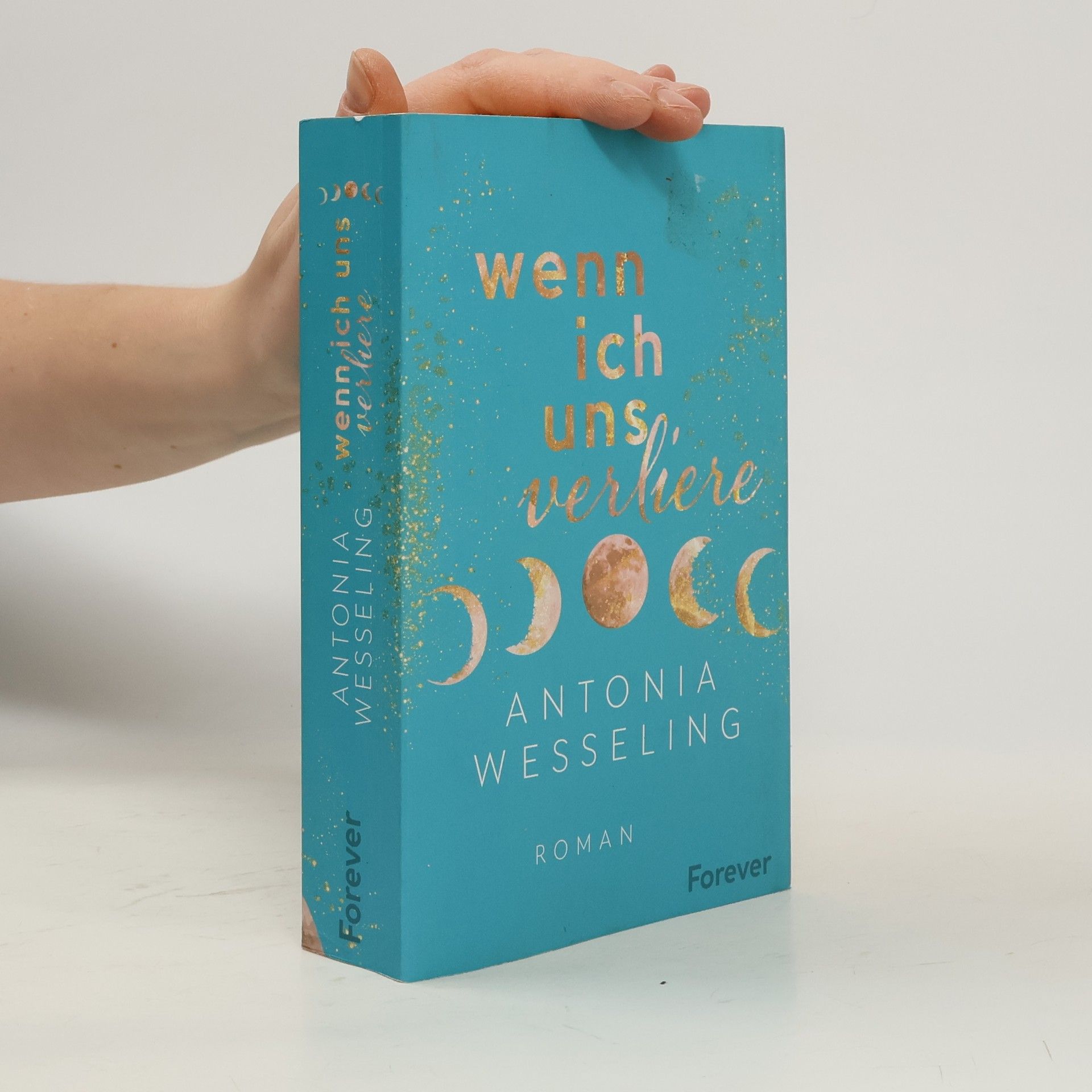 Antonia C. Wesseling Wenn ich uns verliere