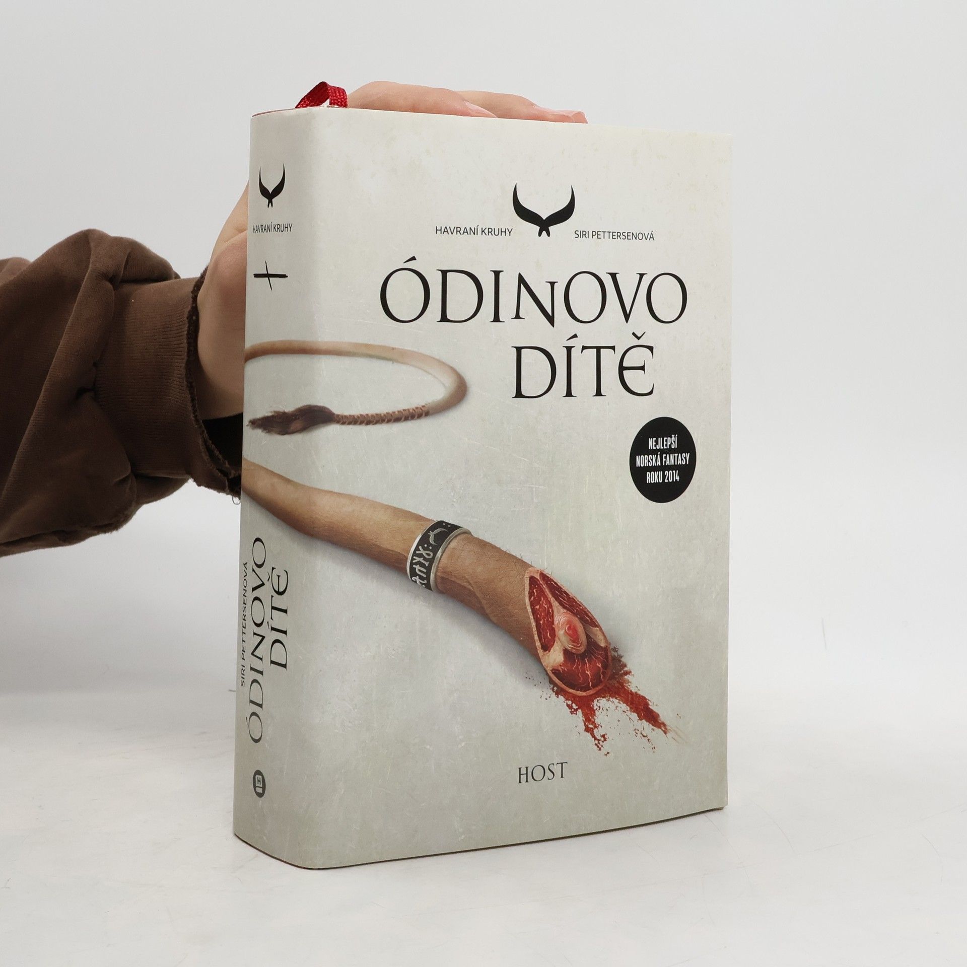 Siri Pettersen Havraní kruhy. Ódinovo dítě