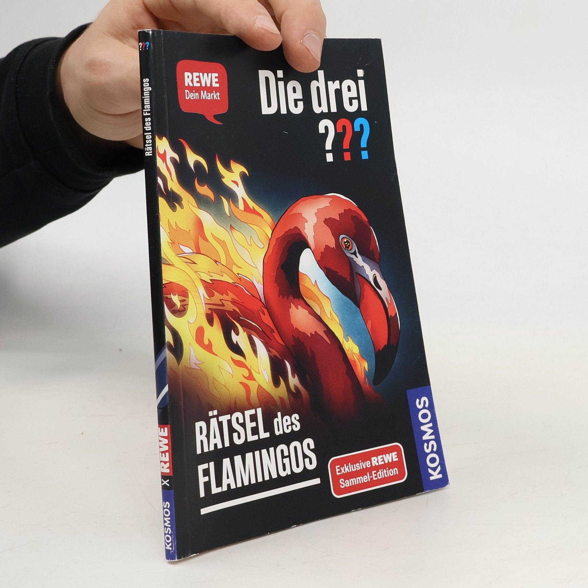 Andreas Ruch Die drei??? Rätsel des Flamingos