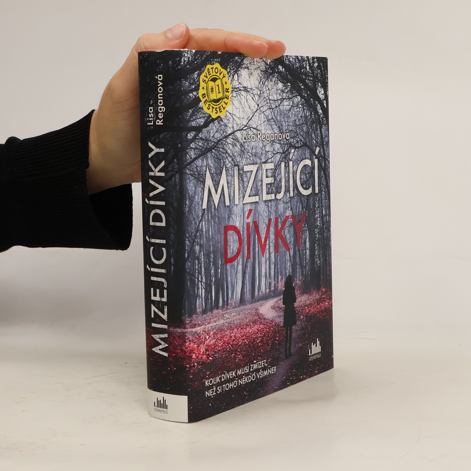 Lisa Regan Mizející dívky