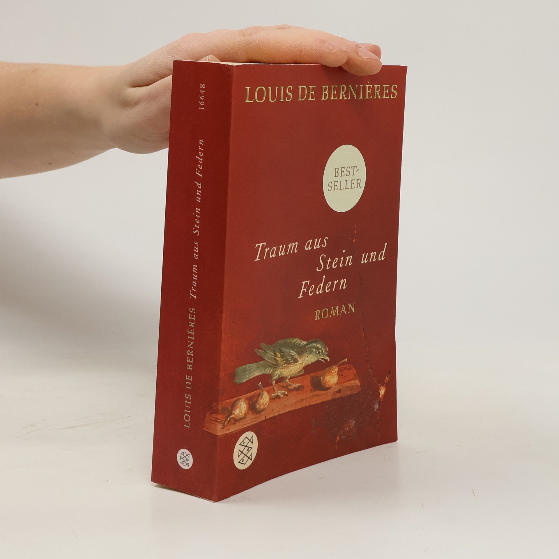 Louis de Bernières Traum aus Stein und Federn