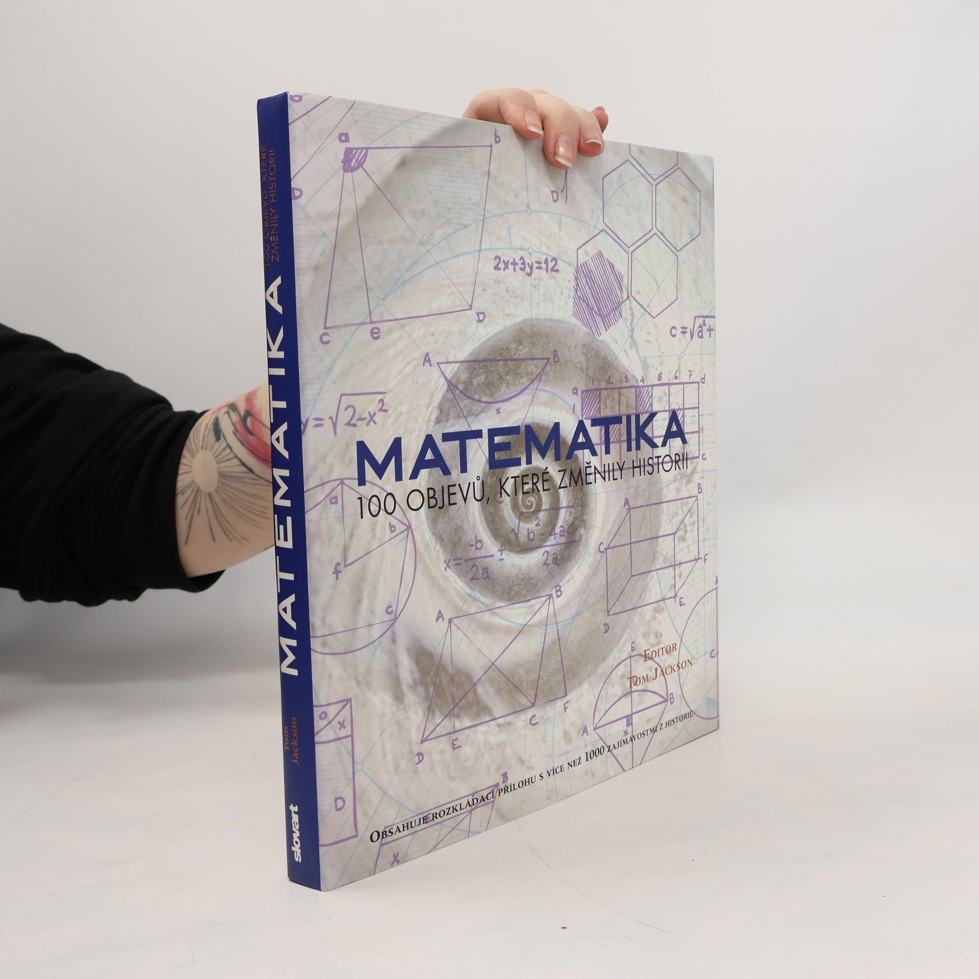 Kolektiv autorů Matematika: 100 objevů, které změnily historii