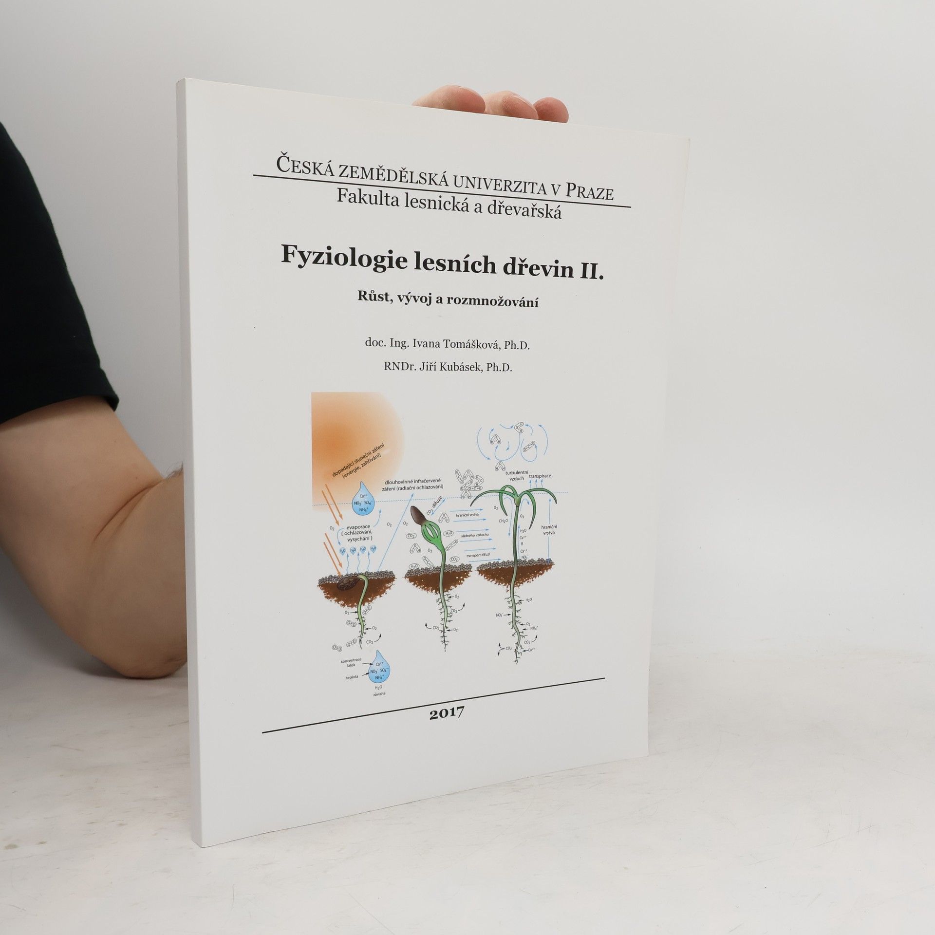 Ivana Tomášková Fyziologie lesních dřevin II. : růst, vývoj a rozmnožování