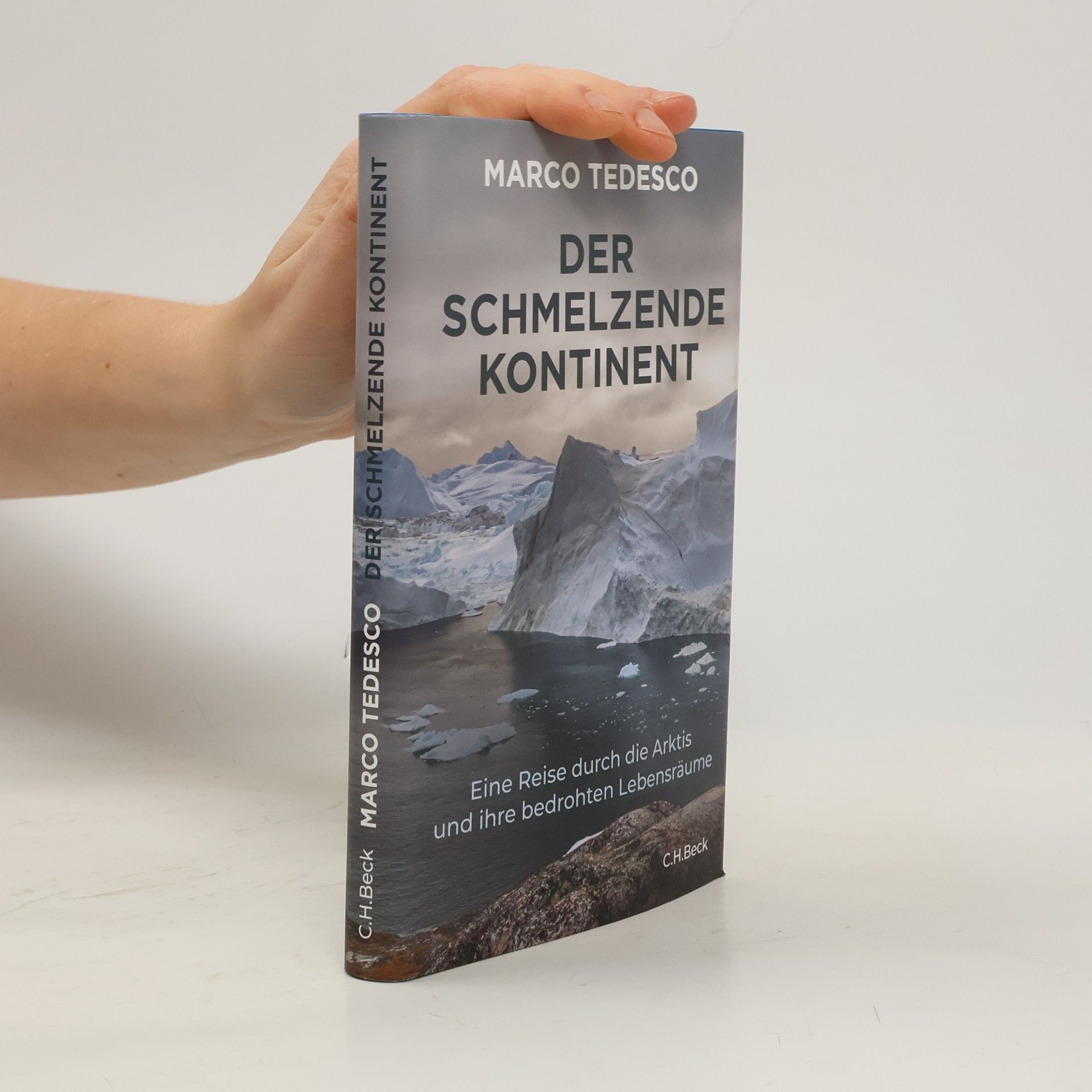 Marco Tedesco Der schmelzende Kontinent