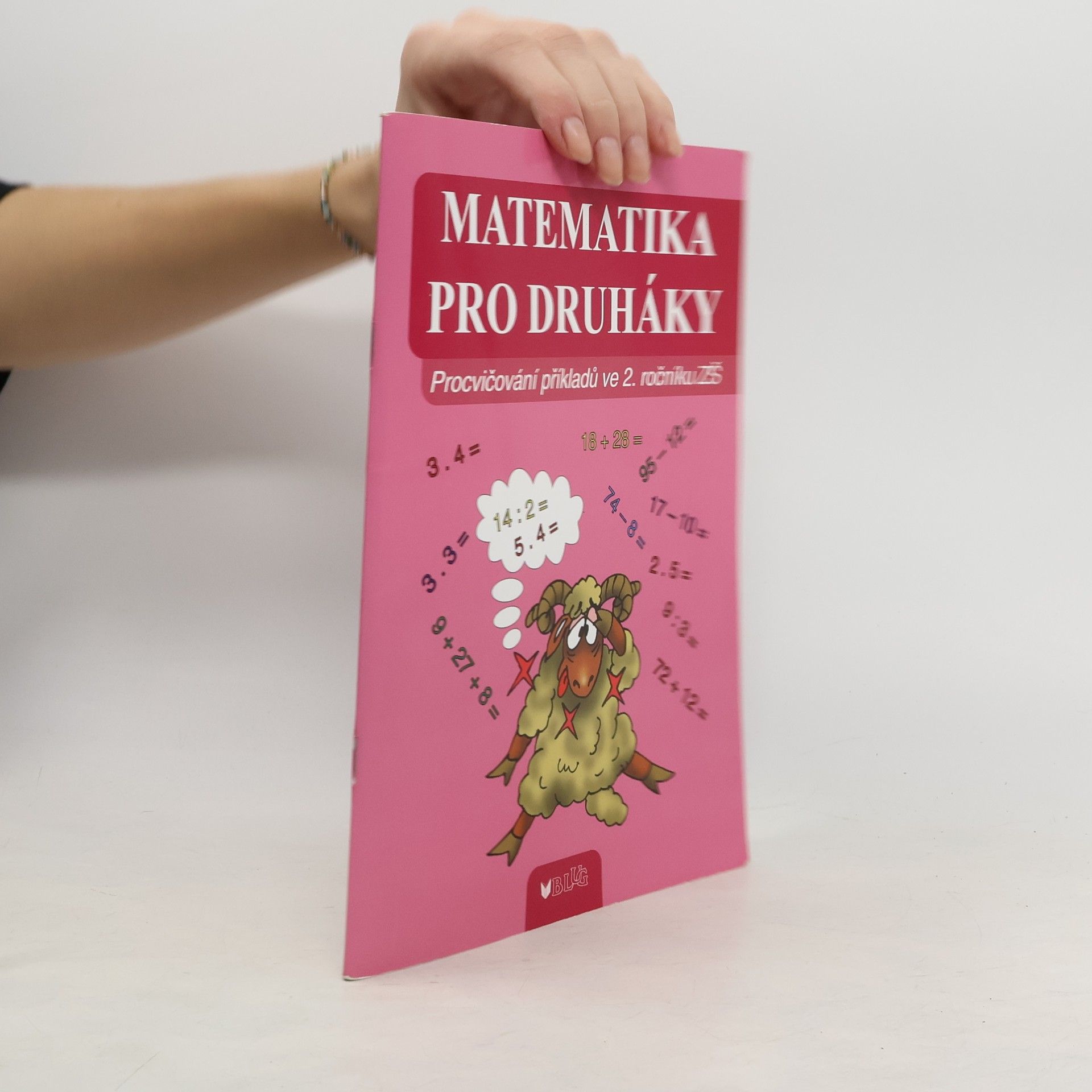 Auteurscollectief Matematika pro druháky. Procvičování příkladů ve 2. ročníku ZŠ
