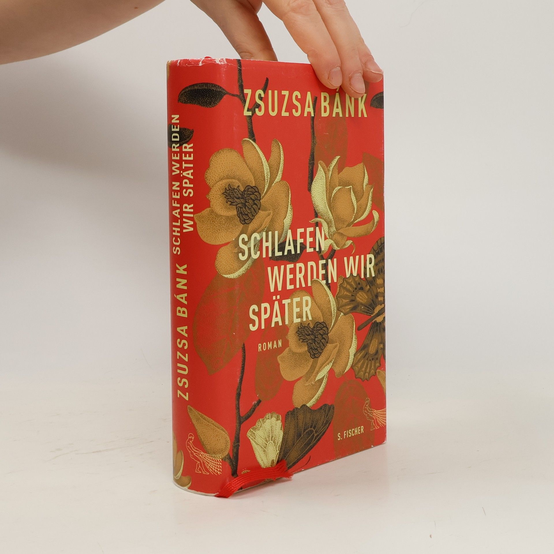 Zsuzsa Bánk Schlafen werden wir später