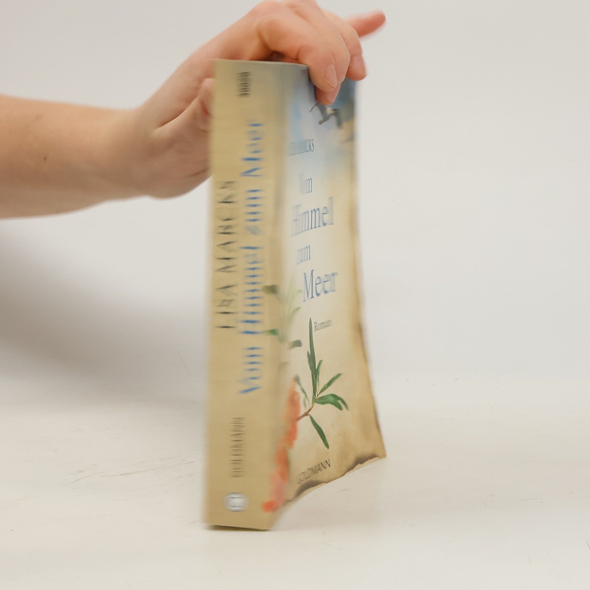 Kerstin Sgonina Vom Himmel zum Meer