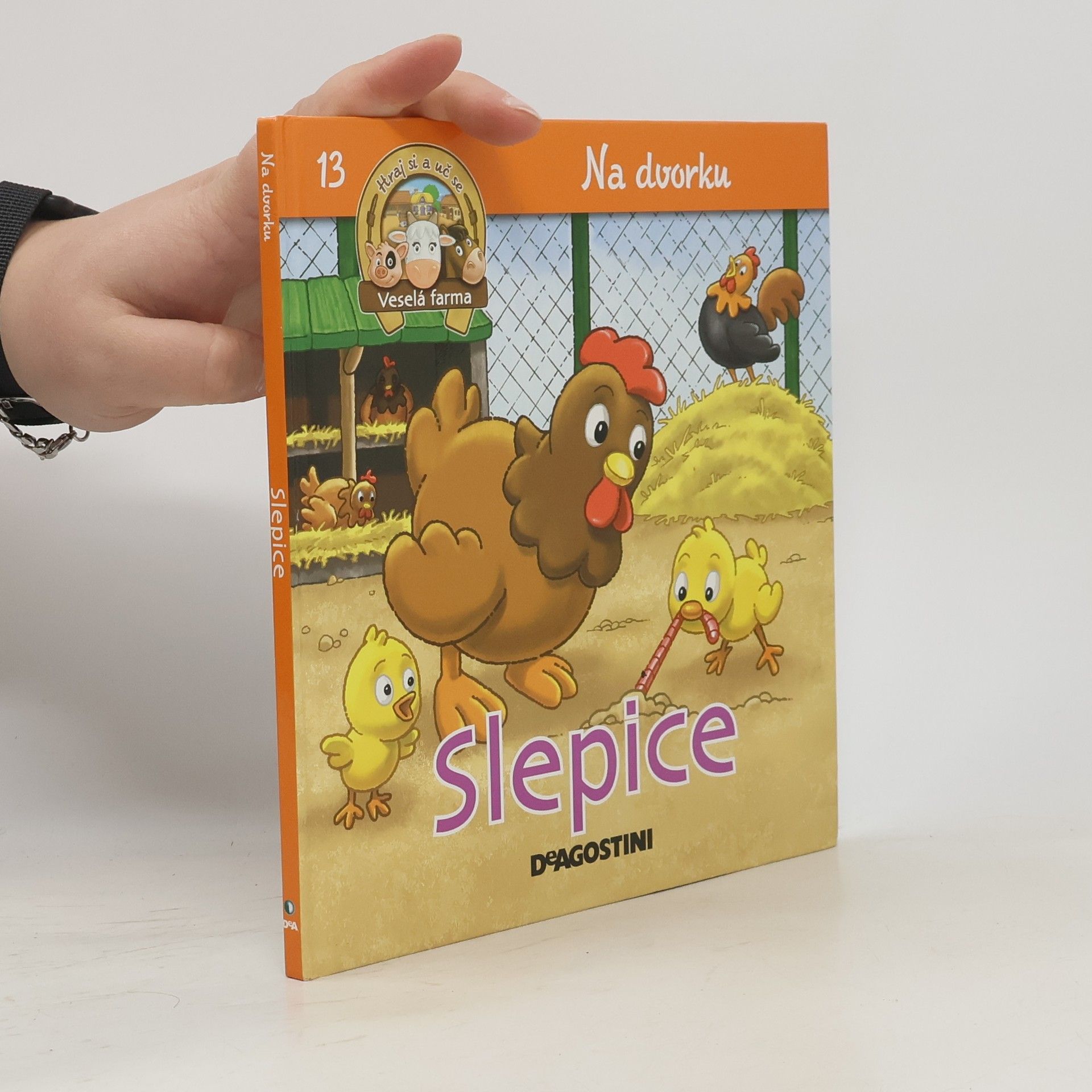 Autorenkollektiv Na dvorku 13. Slepice