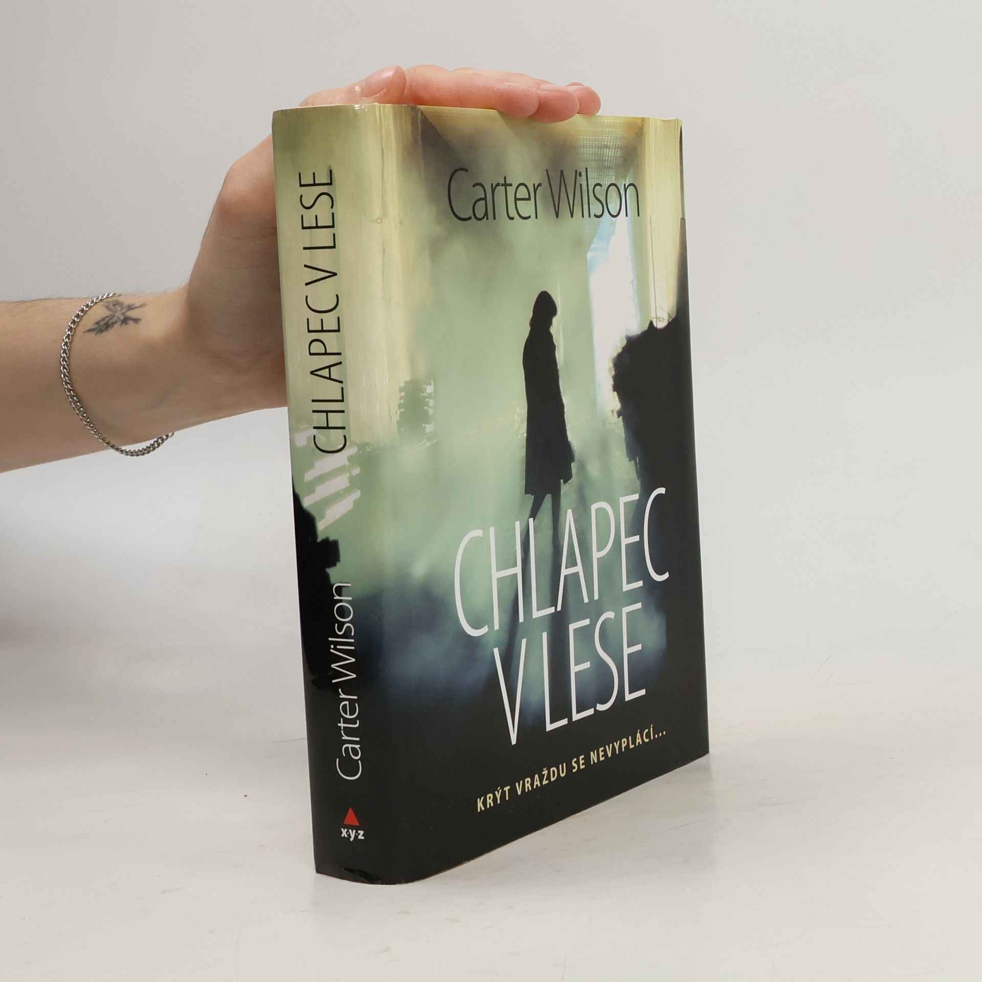 Chlapec v lese : krýt vraždu se nevyplácí...