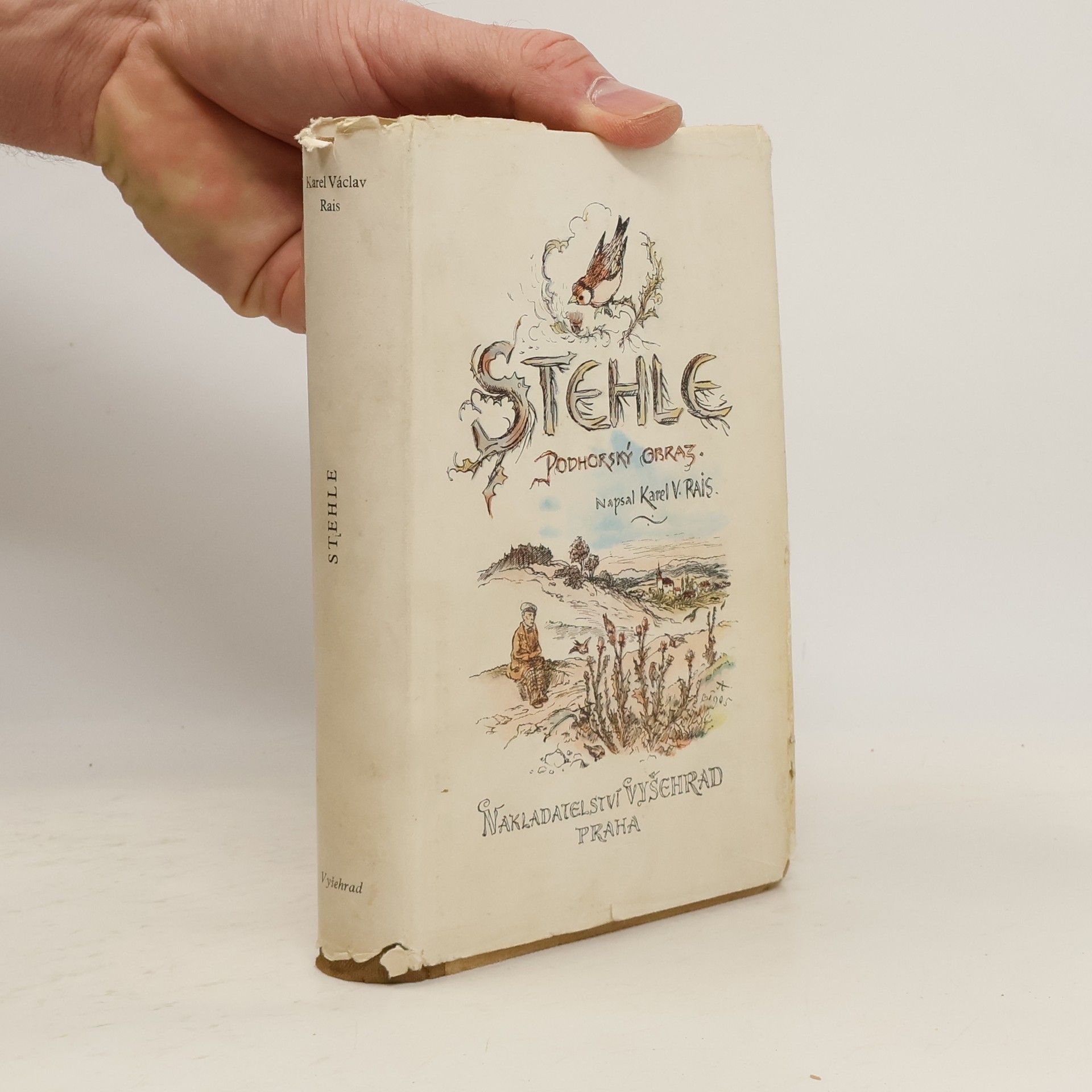 Karel Václav Rais Stehle