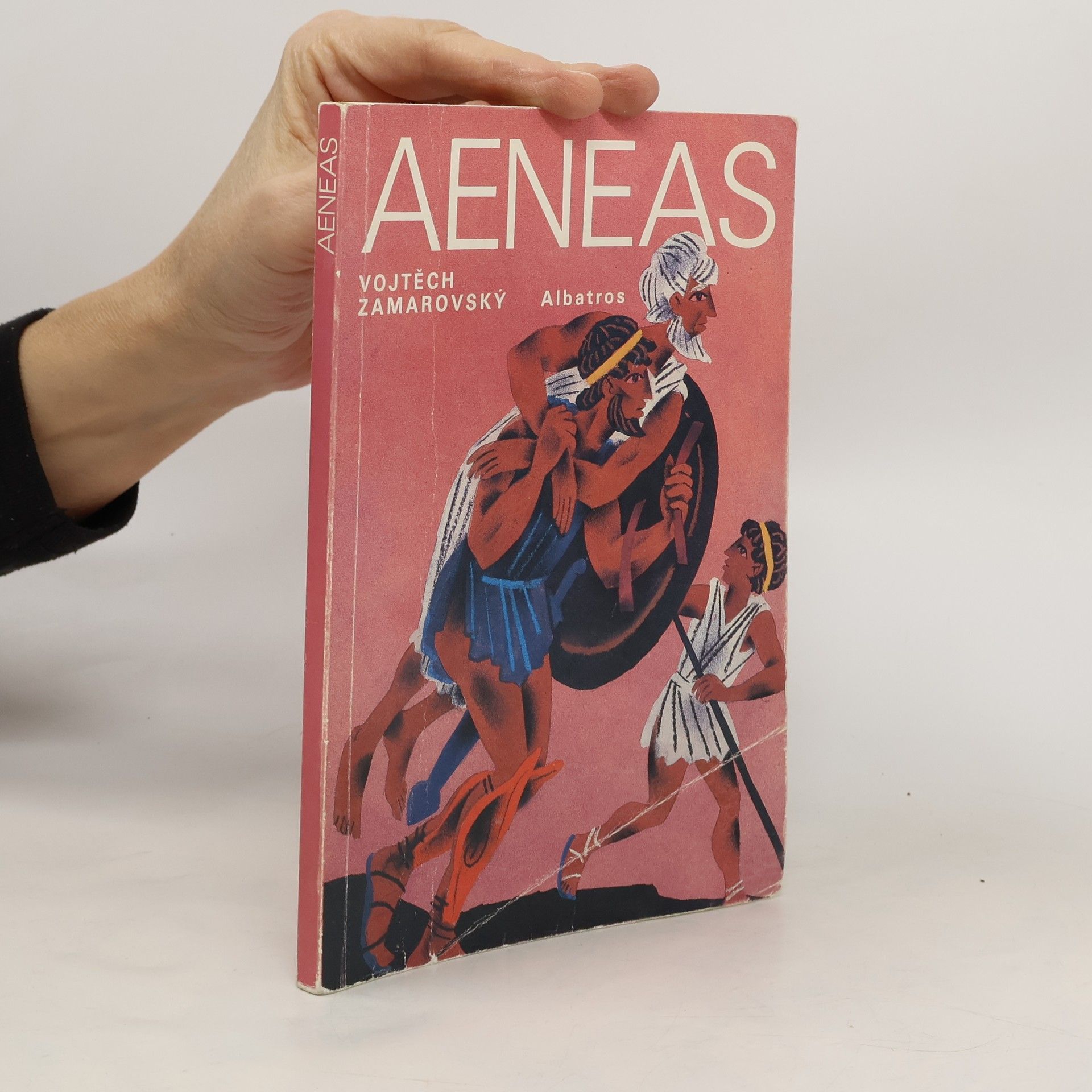 Aeneas: Aeneovy osudy a činy podle Vergiliova eposu Aeneidy: Pro čtenáře od 12 let