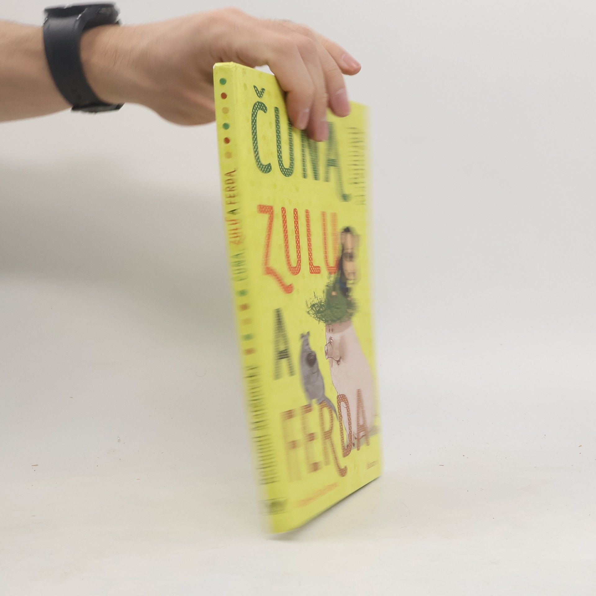 Bohumil Matějovský Čuňa, Zulu a Ferda