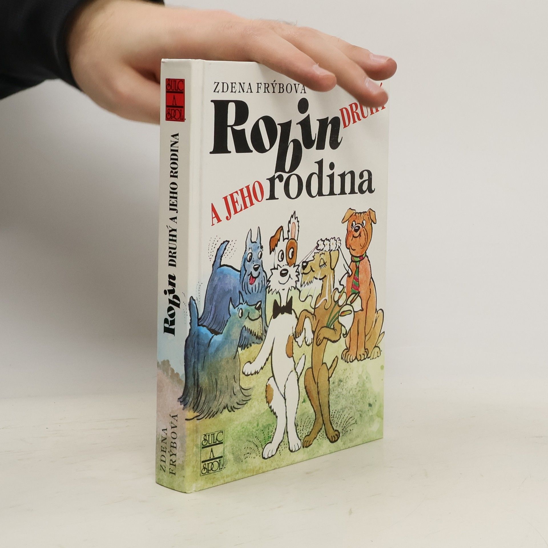 Zdena Frýbová Robin Druhý a jeho rodina