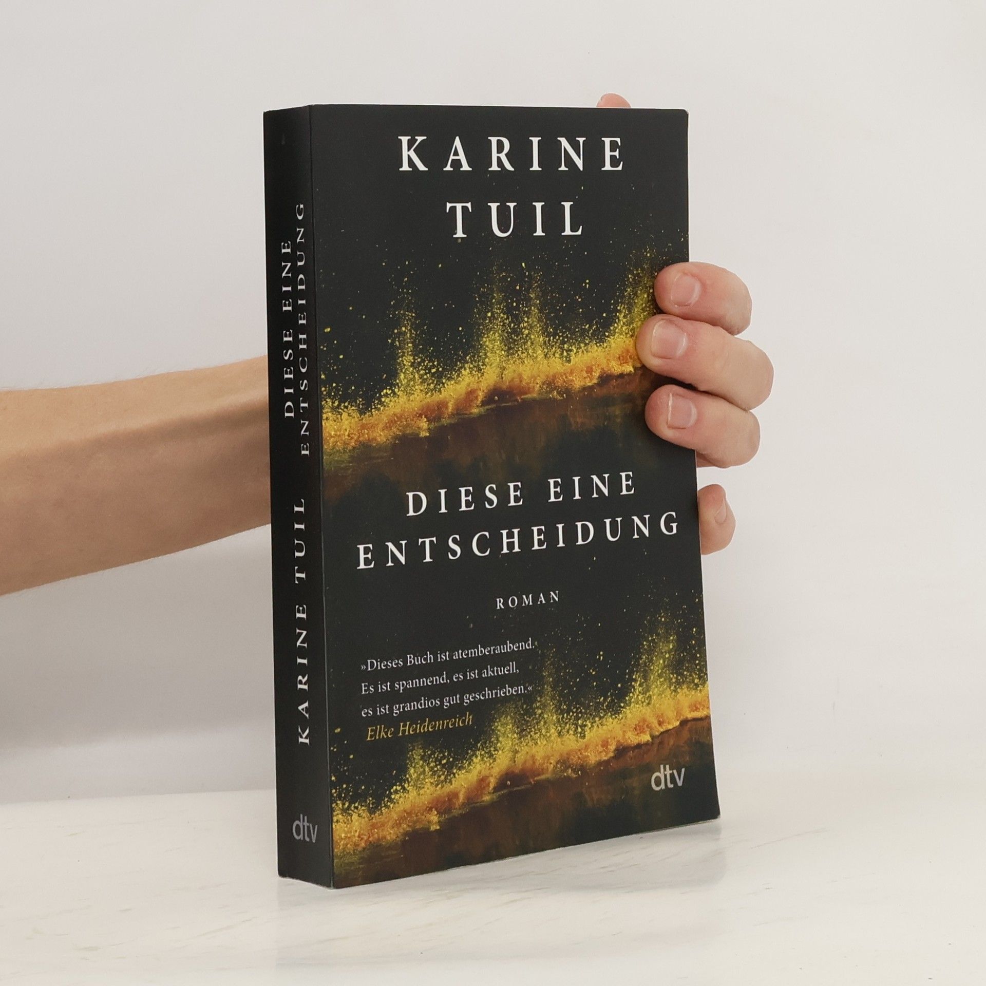 Karine Tuil Diese eine Entscheidung