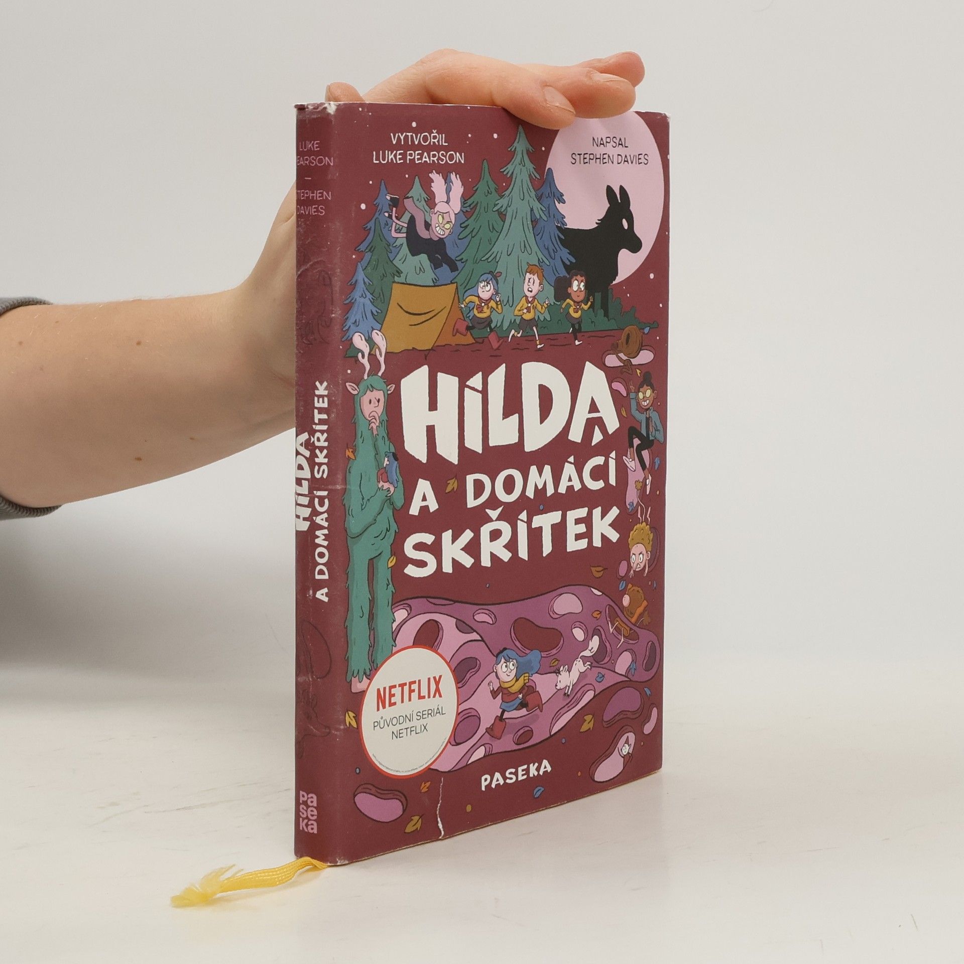 Stephen Davies Hilda a domácí skřítek