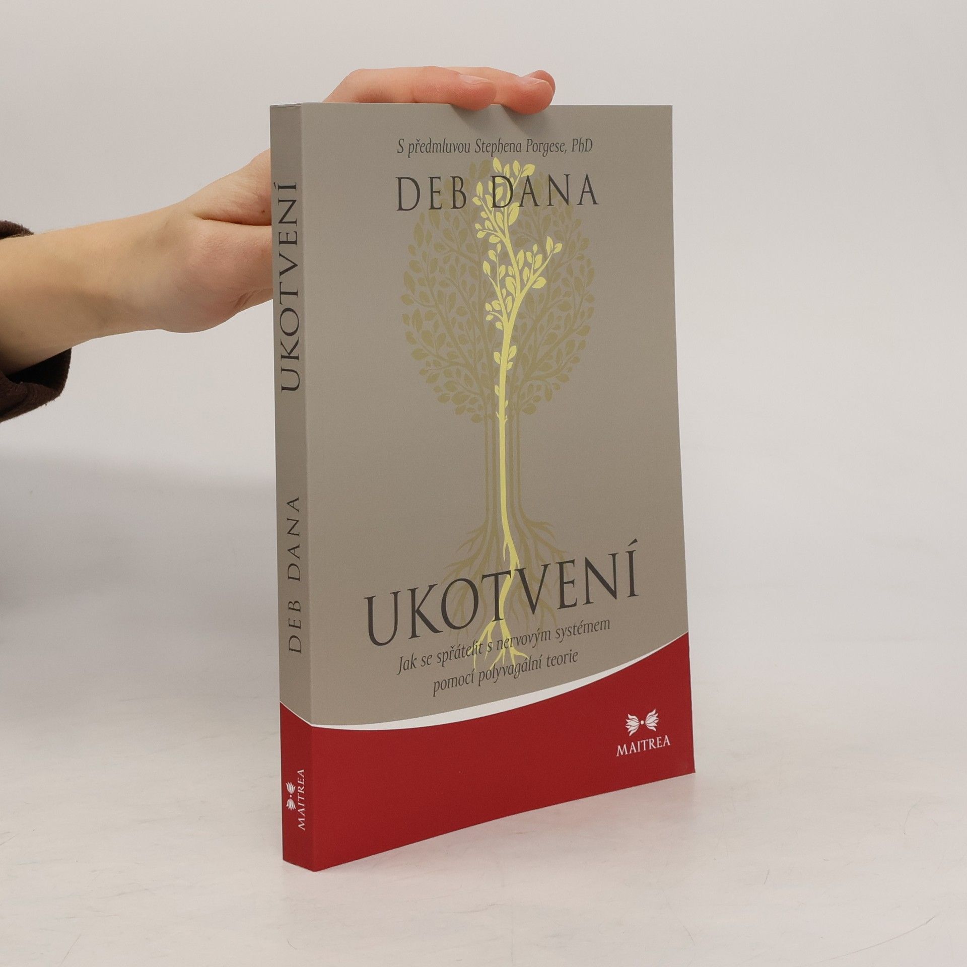 Zdeněk Böhm Ukotvení. Jak se spřátelit s nervovým systémem pomocí polyvagální teorie