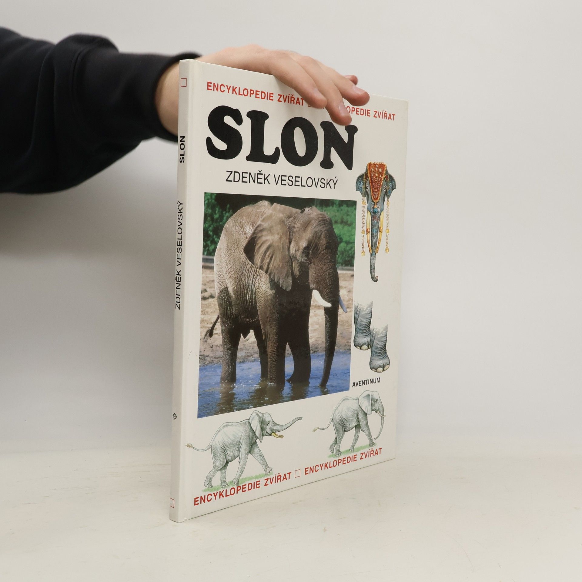 Zdeněk Veselovský Slon