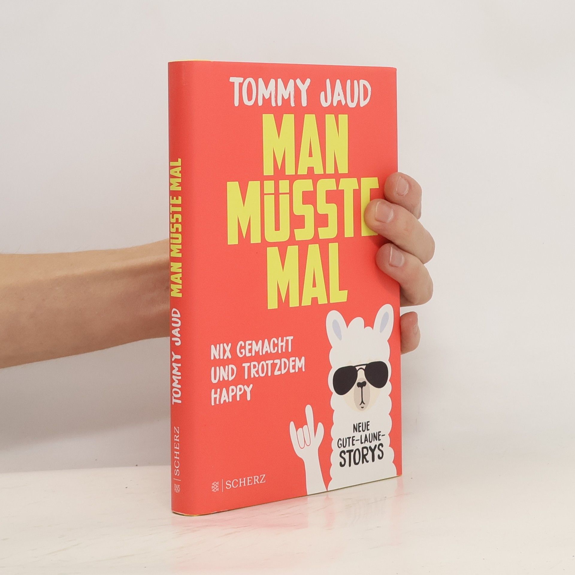 Tommy Jaud Man müsste mal