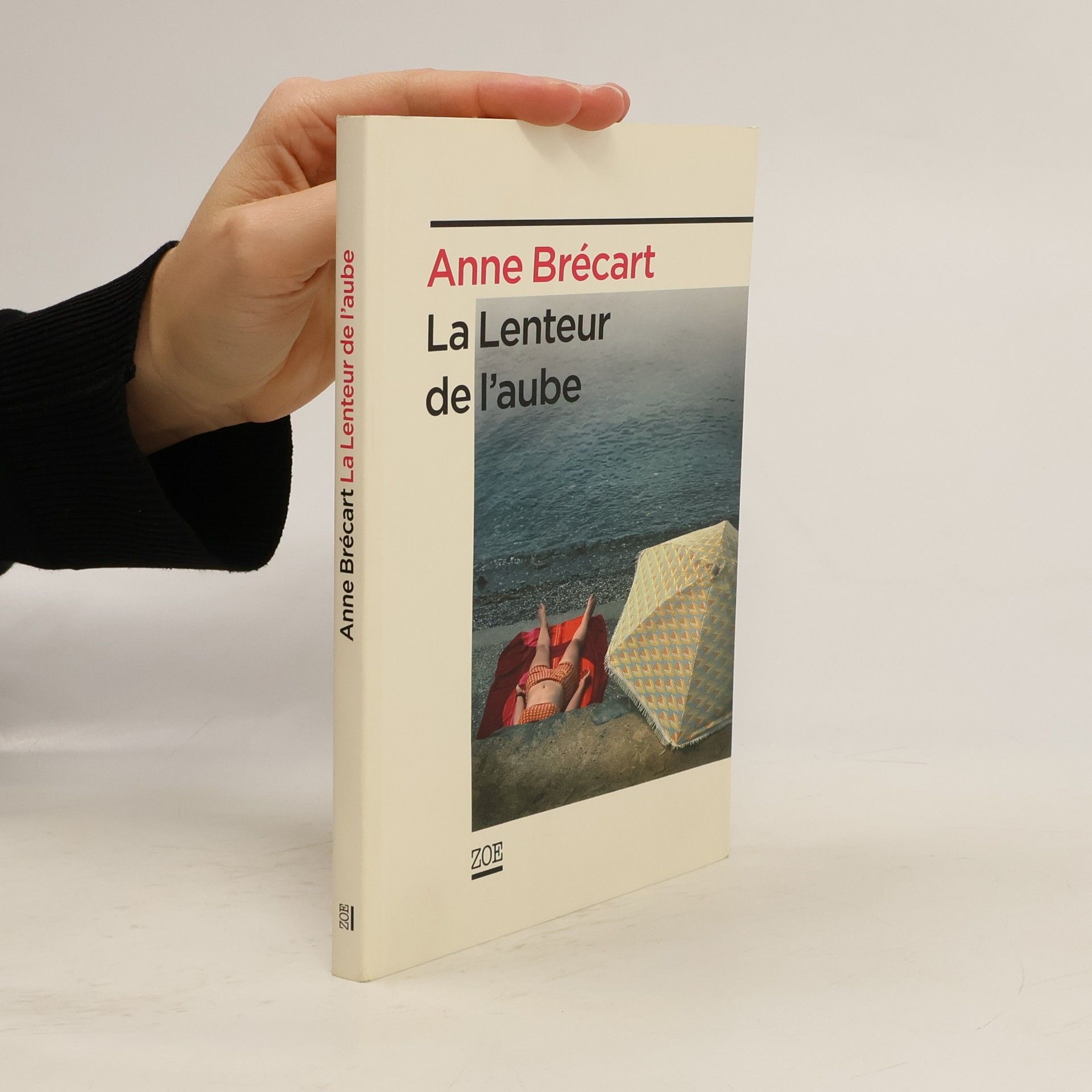 Anne Brécart La lenteur de l'aube