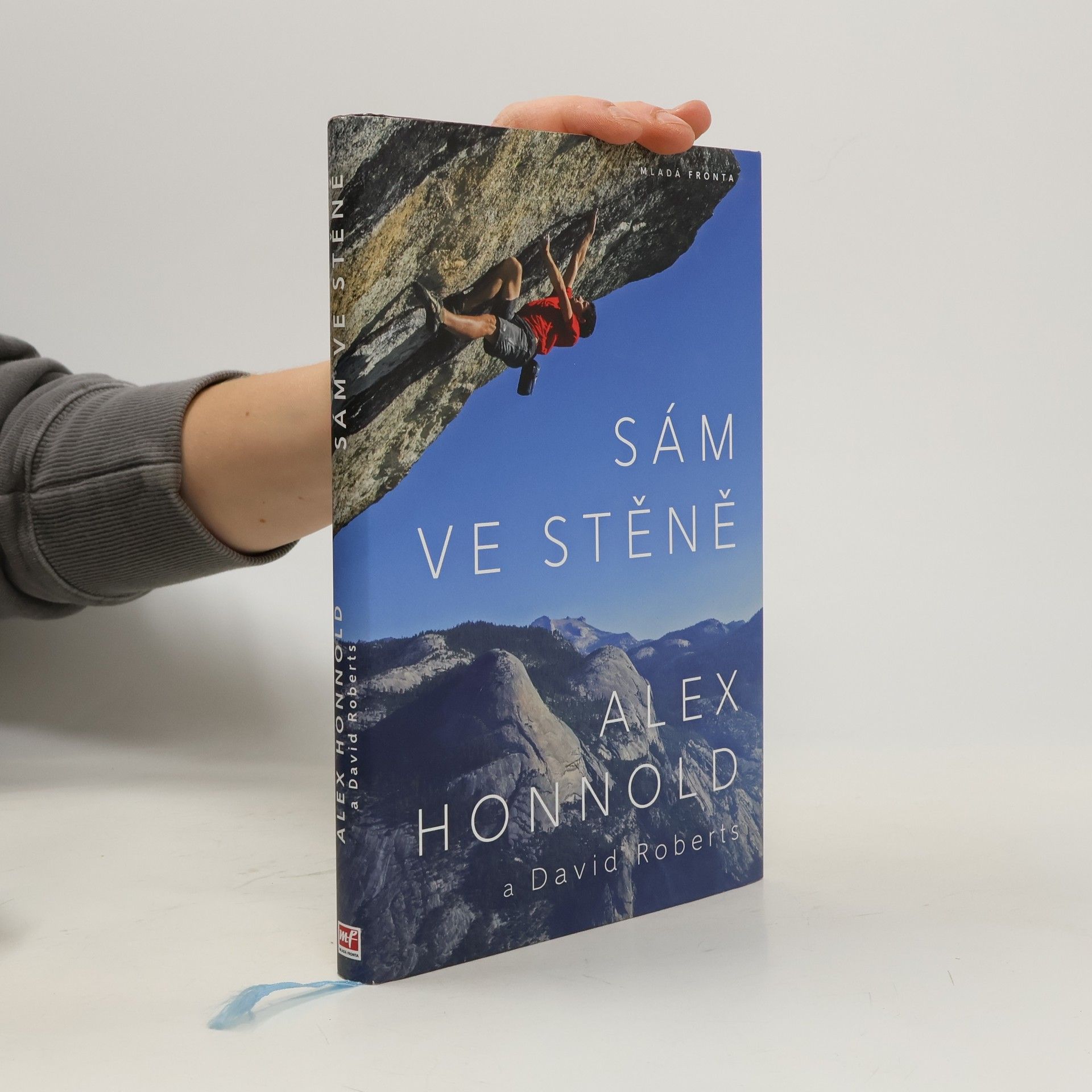 David Roberts Sám ve stěně