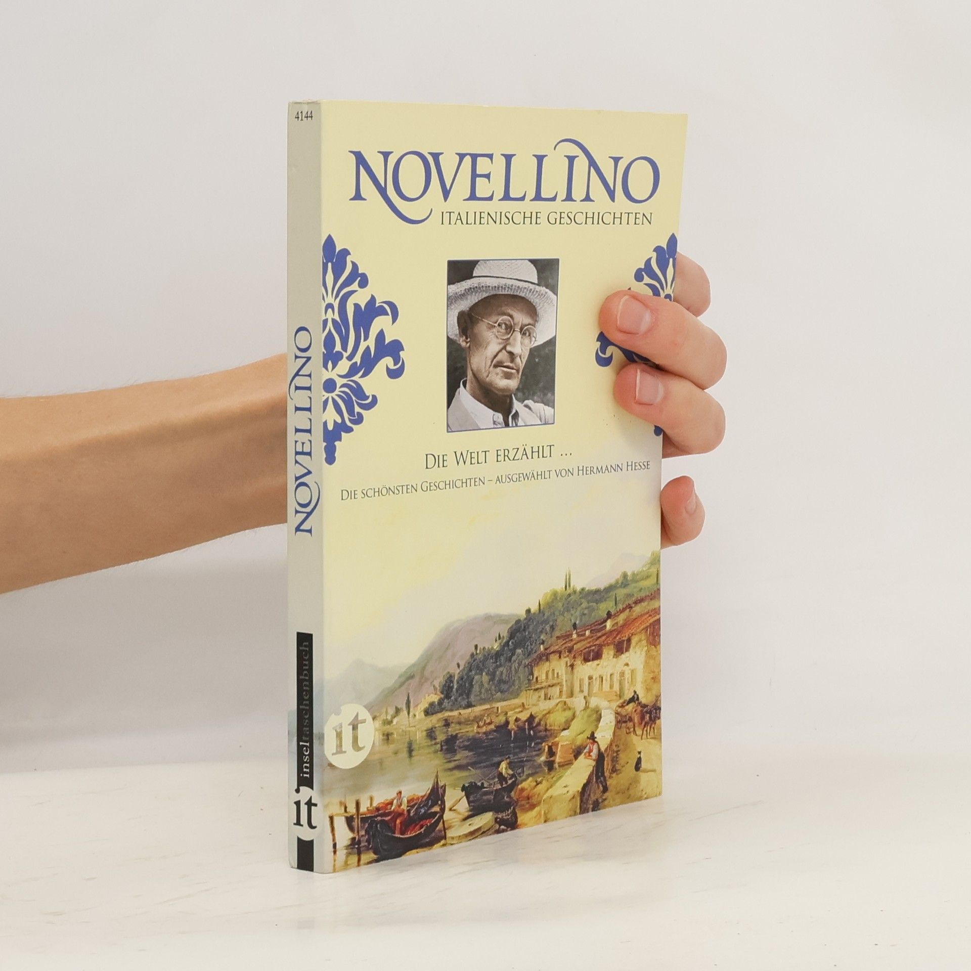 Hermann Hesse Novellino