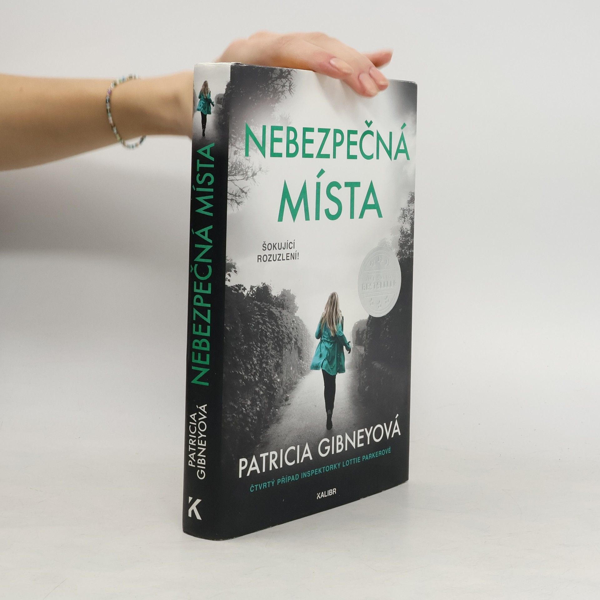 Patricia Gibney Nebezpečná místa