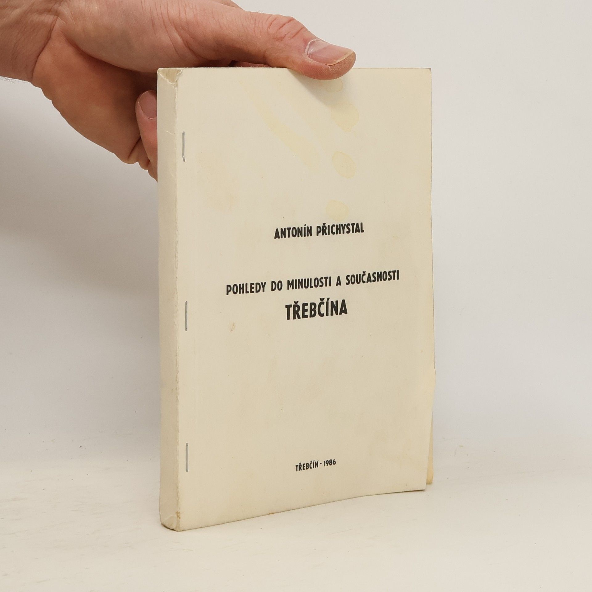 Pohledy do minulosti a současnosti Třebčína