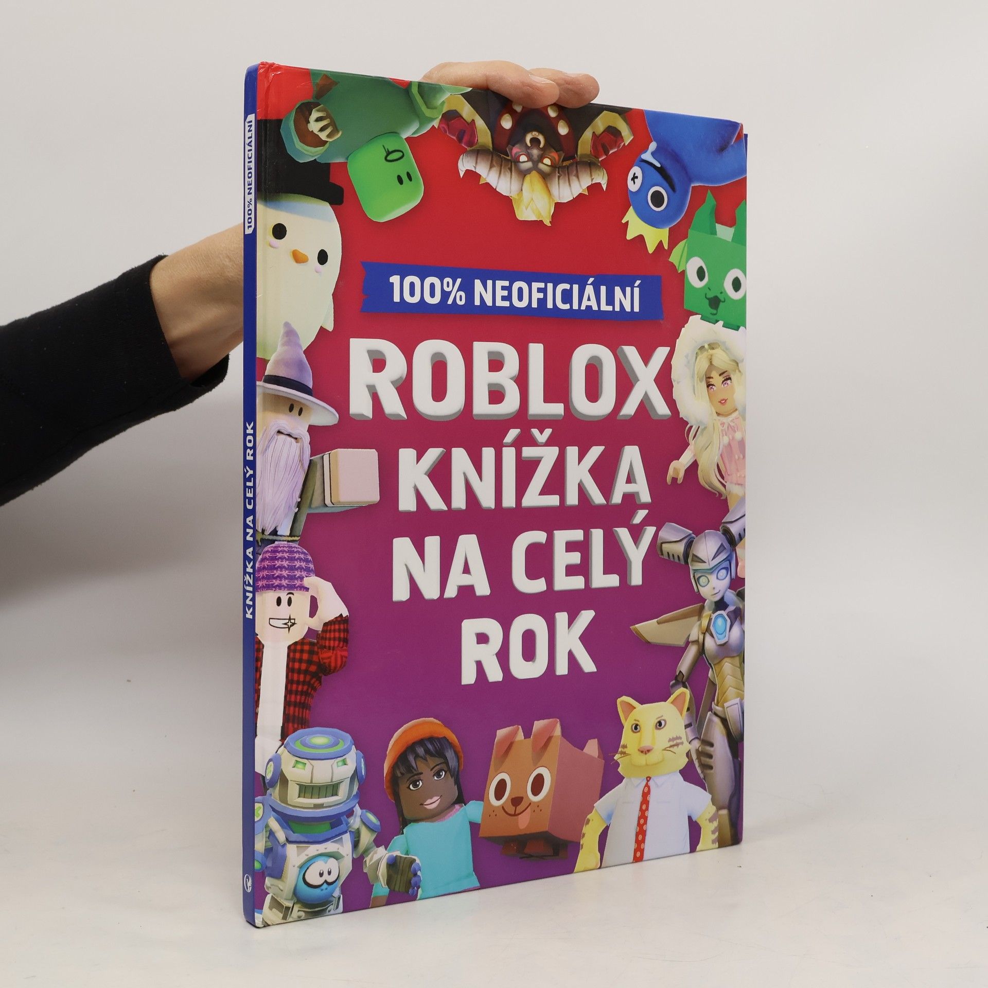 Autorenkollektiv Roblox 100% neoficiální - Knížka na celý rok