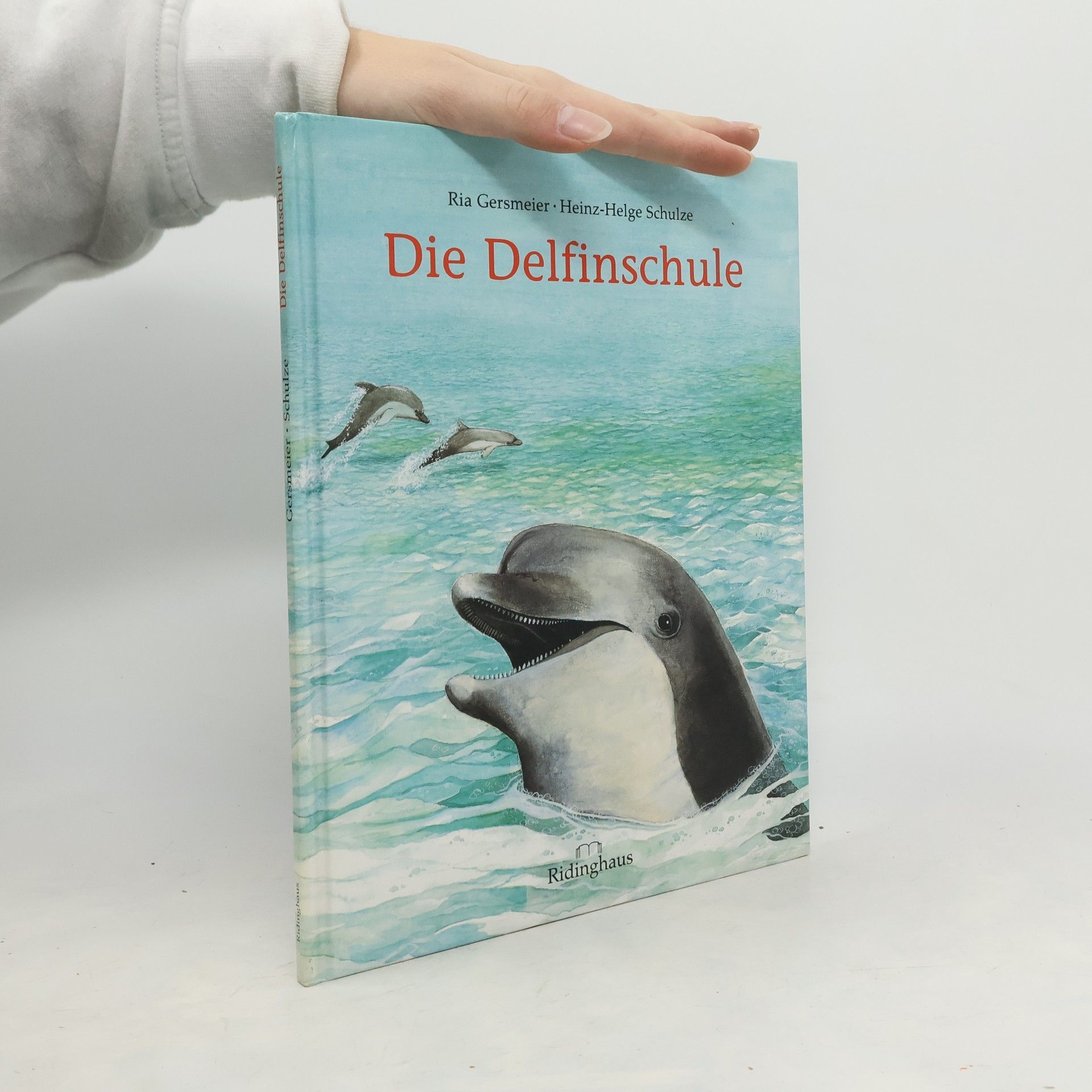 Die Delfinschule