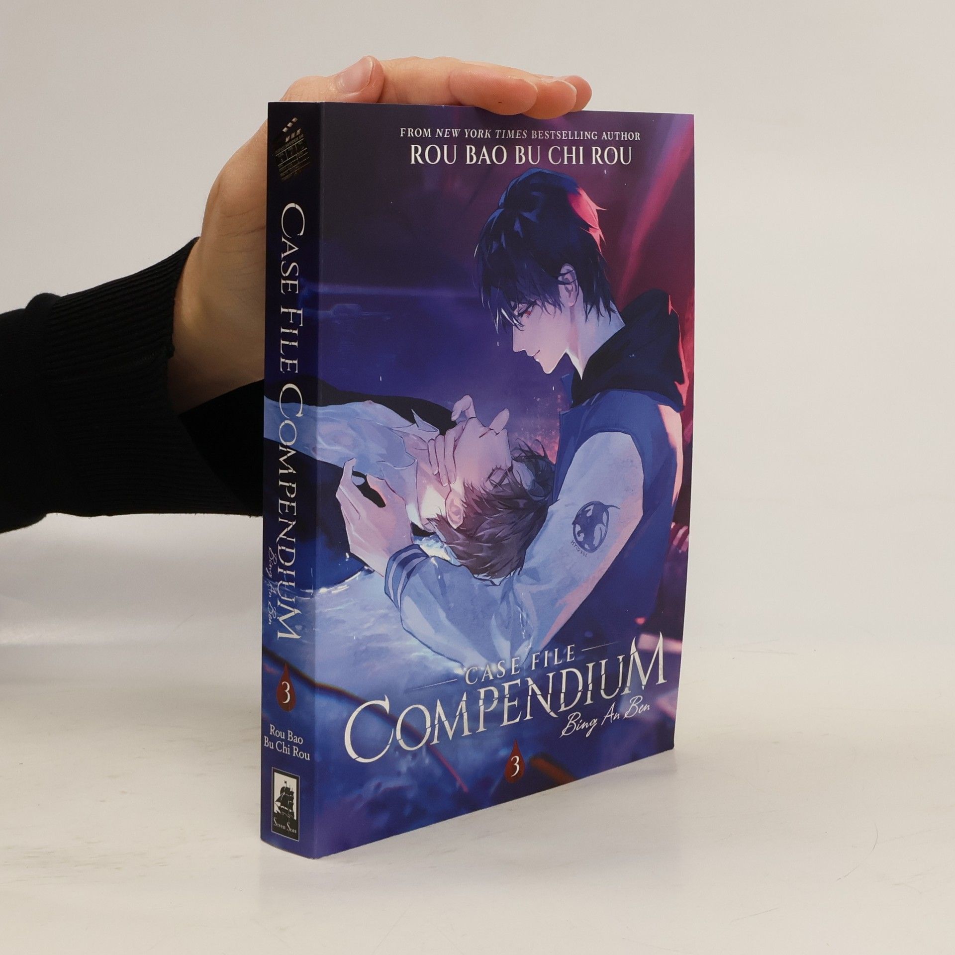 Rou Bao Case File Compendium: Bing An Ben (Novel) Vol. 3