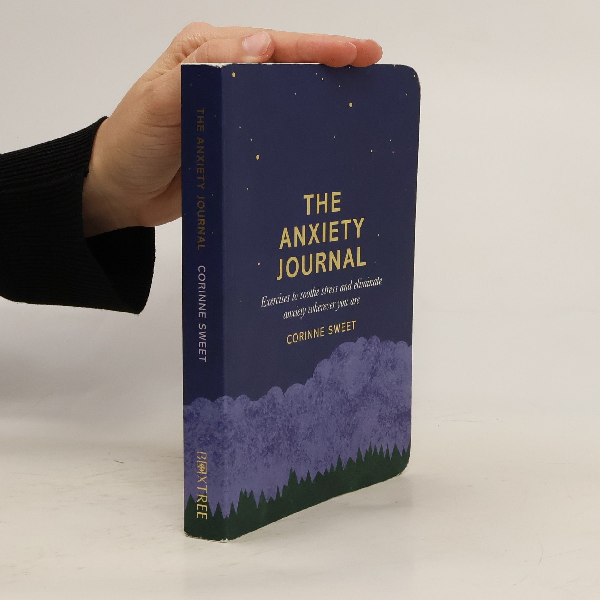 Corinne Sweet The Anxiety Journal