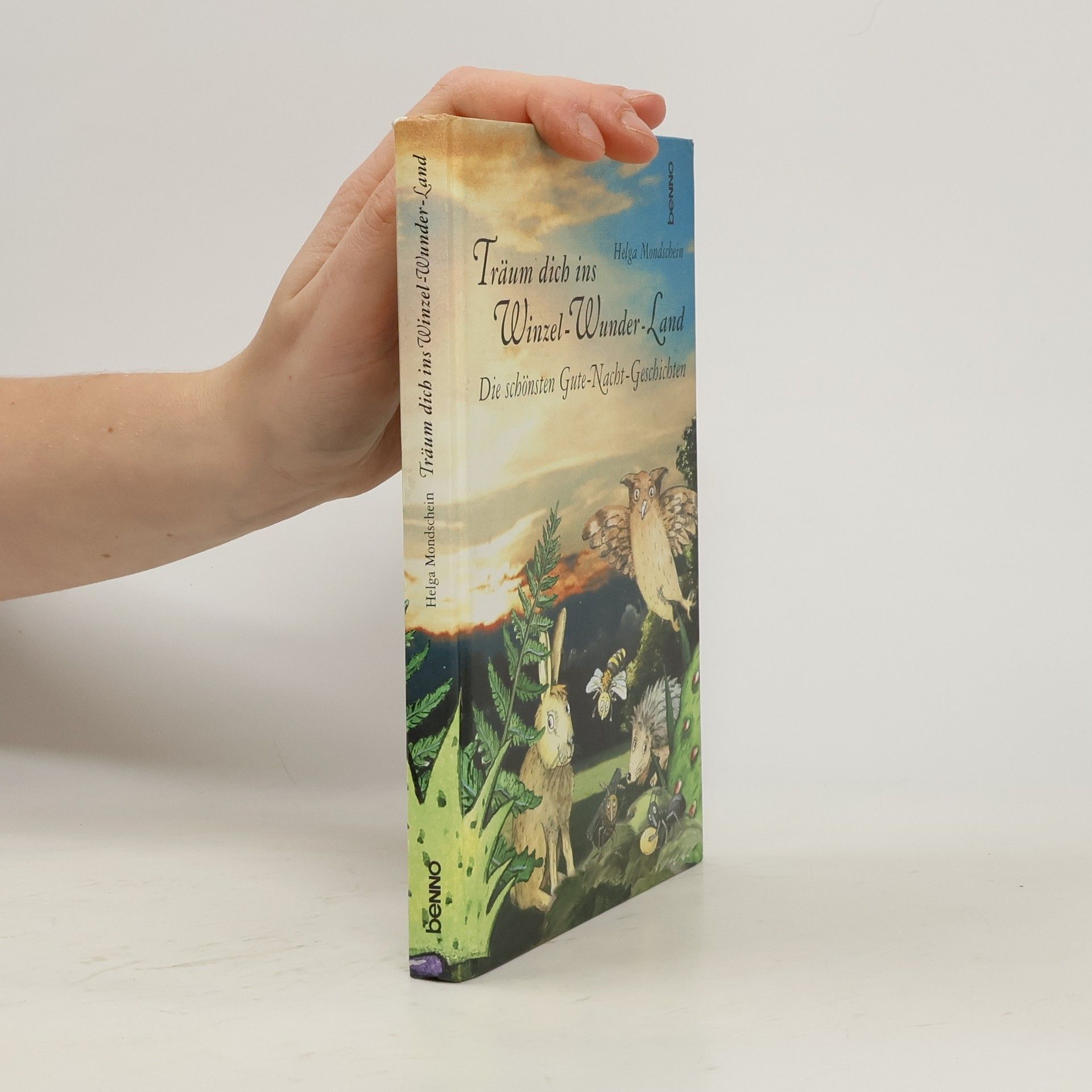 Helga Mondschein Träum dich ins Winzel-Wunder-Land